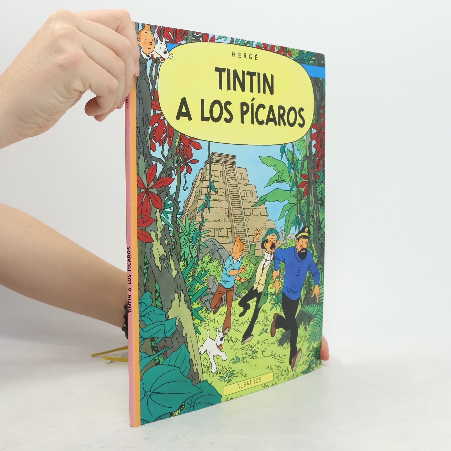 Hergé Tintinova dobrodružství. Tintin a Los Pícaros