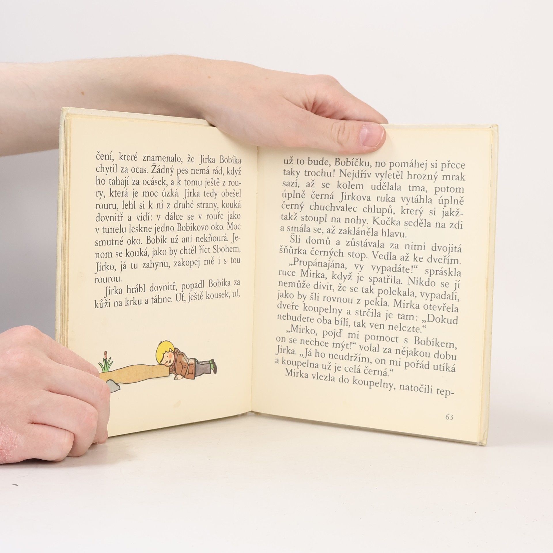Ilona Borská Mirka s Jirkou sami doma