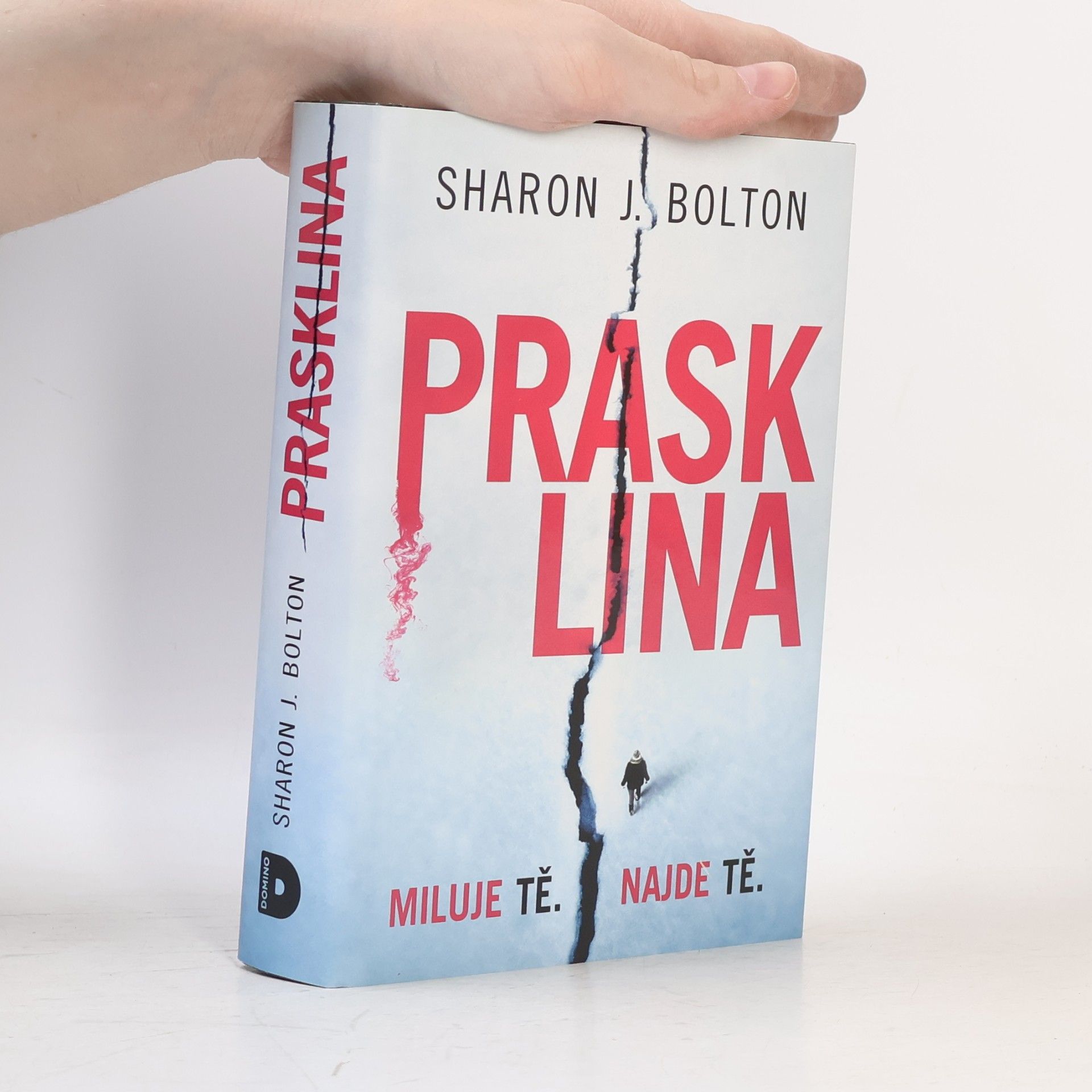 Sharon Bolton Prasklina