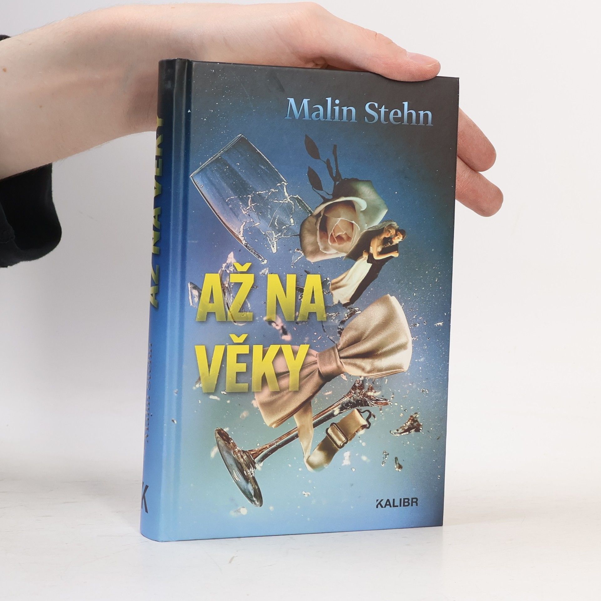 Malin Stehn Až na věky
