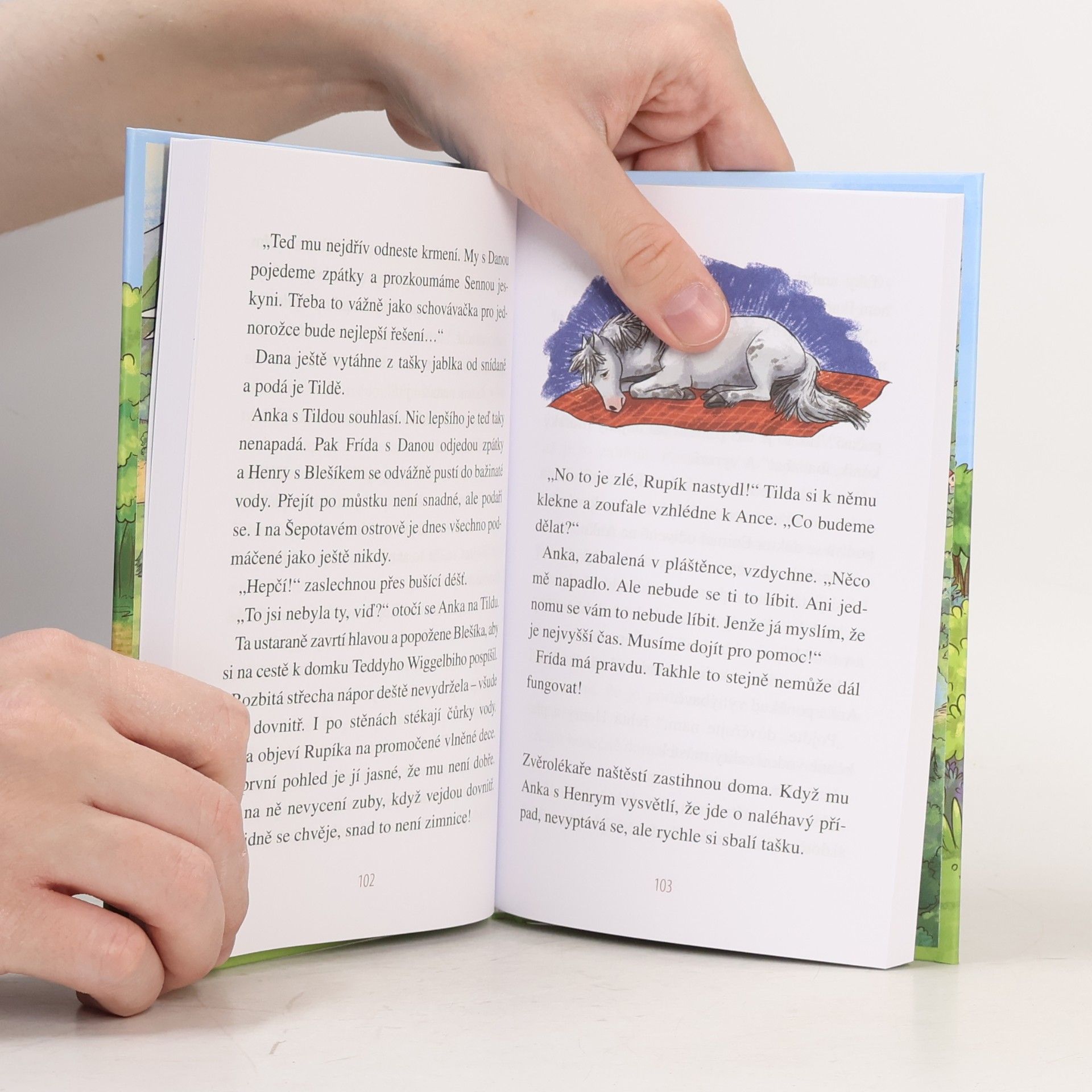 Ellie Mattes Údolí poníků - Jednorožec se nebaví s každým!