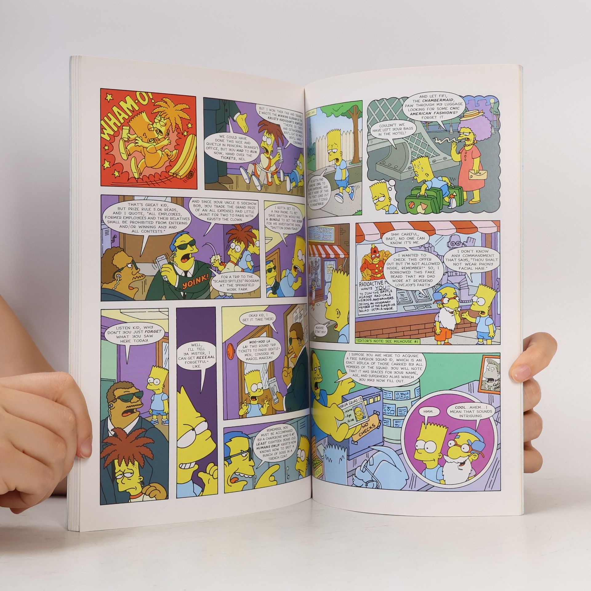 Matt Groening Simpsons Comics Wingding