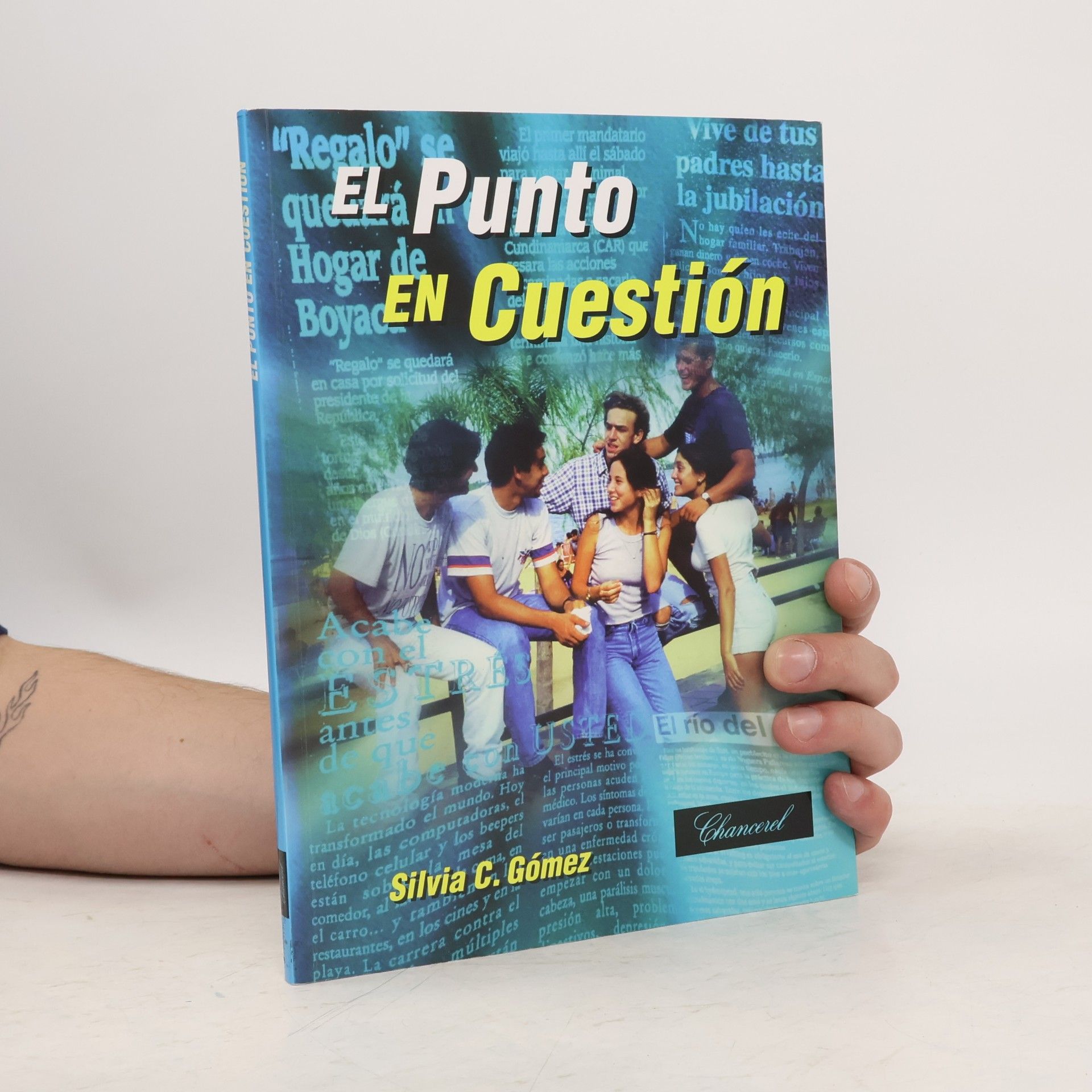 Silvia C. Gómez El punto en cuestión
