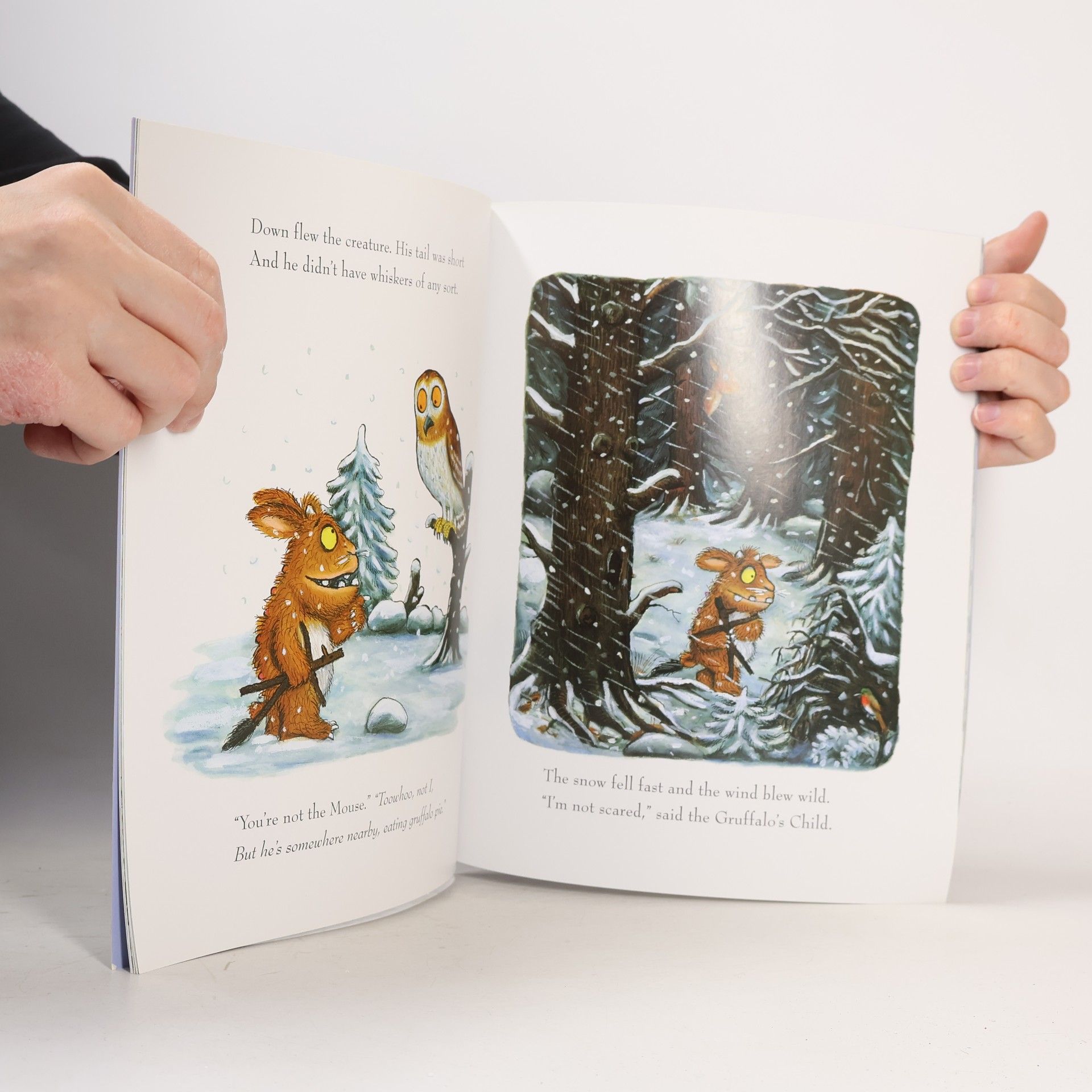 Axel Scheffler The Gruffalo's Child
