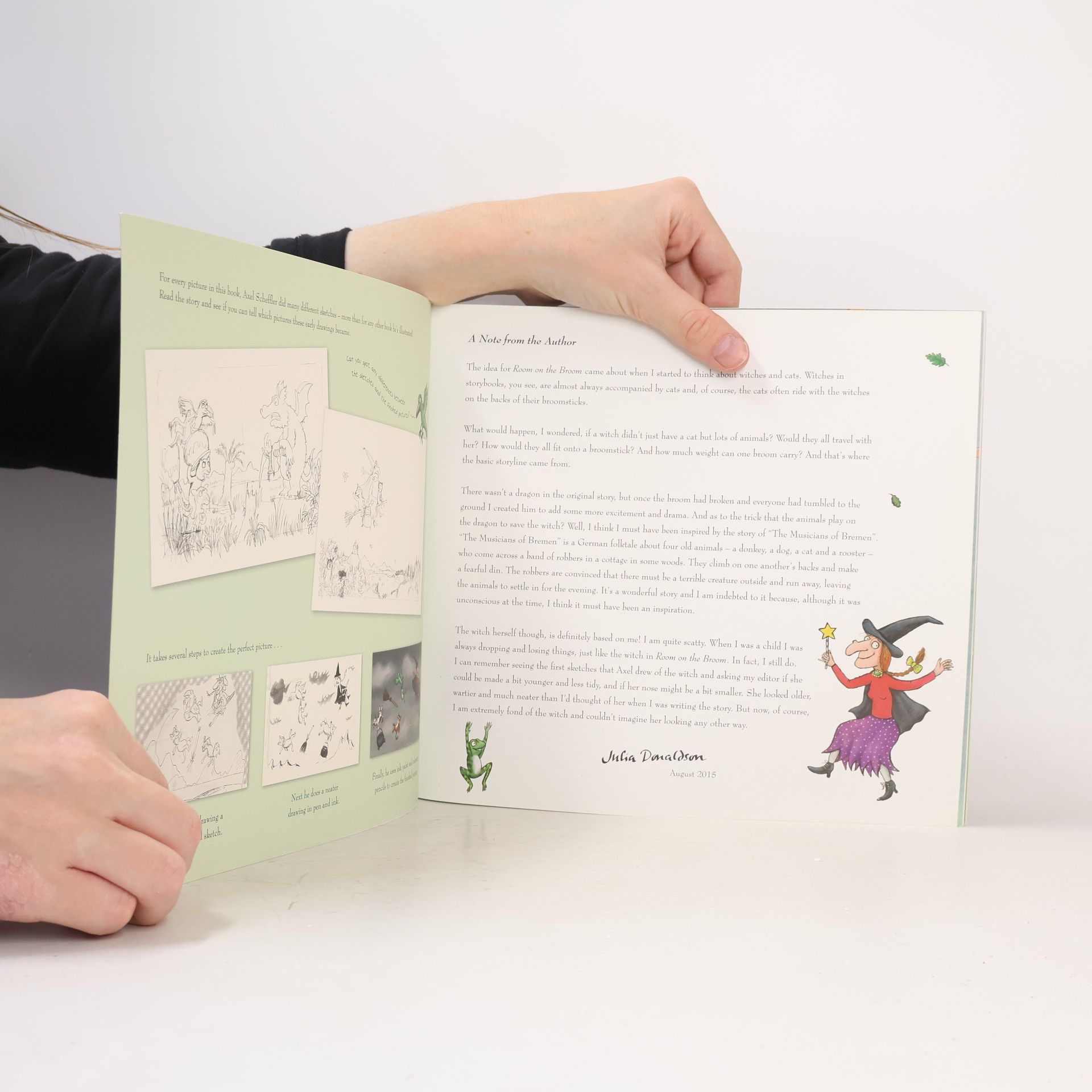 Julia Donaldson Room on the Broom 15th Anniversary Edition