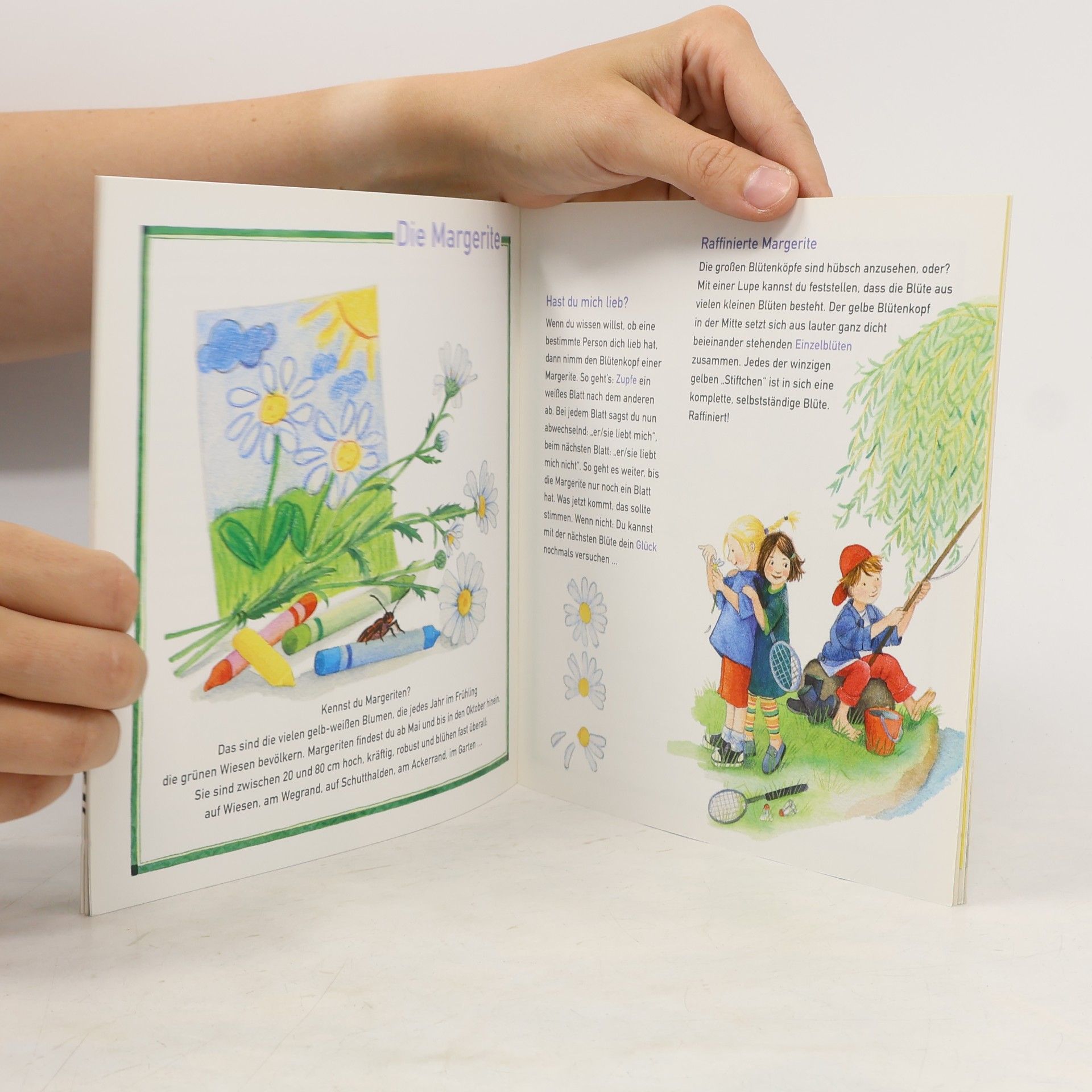 Margot Zappe Mein erstes Wiesenblumen-Buch