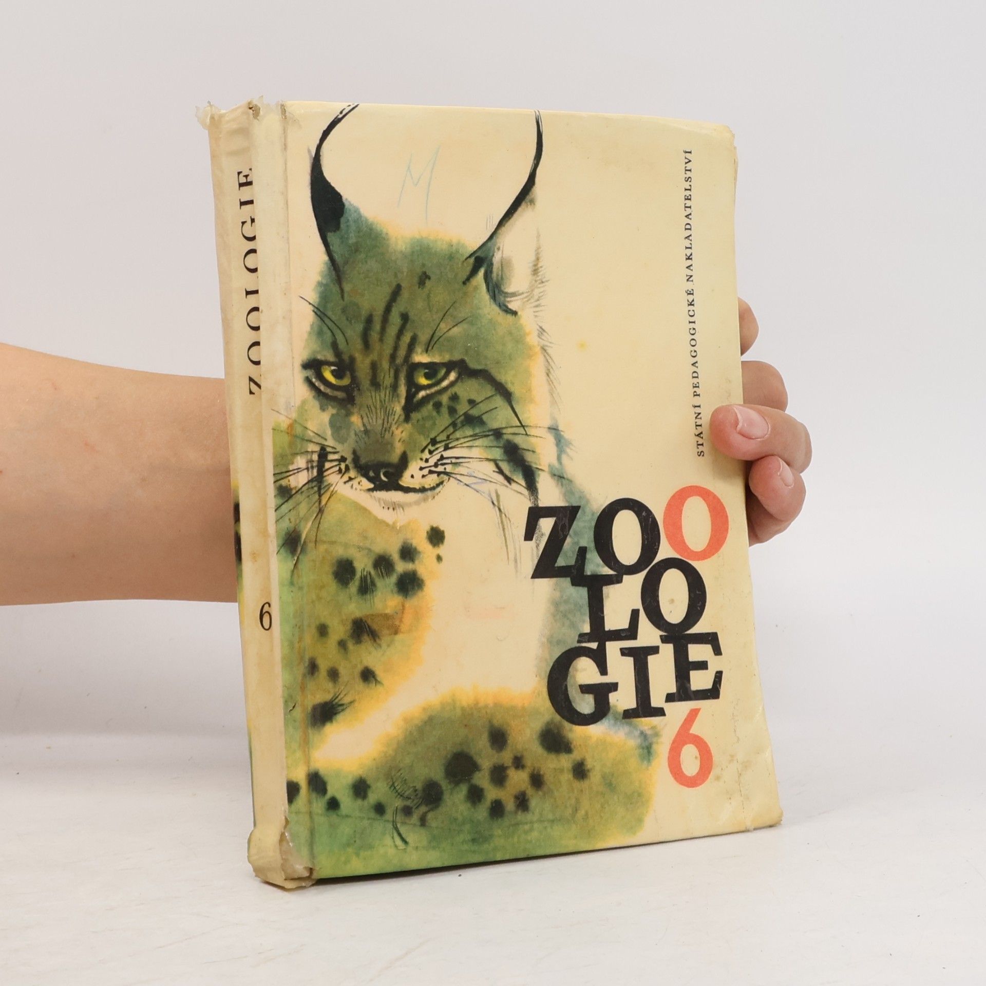 Kolektív autorov Zoologie 6