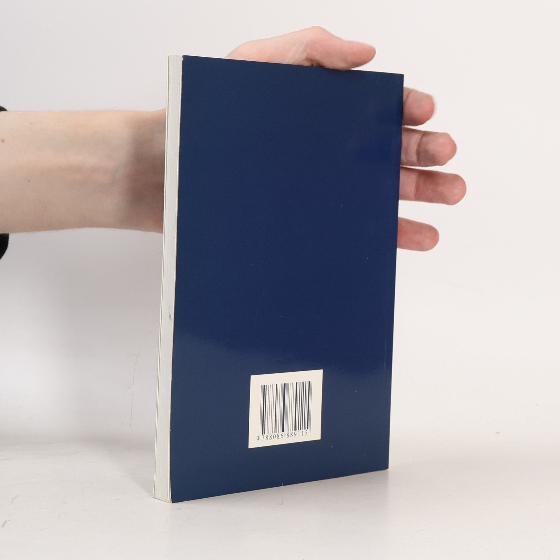 Autorenkollektiv Židé - dějiny a kultura