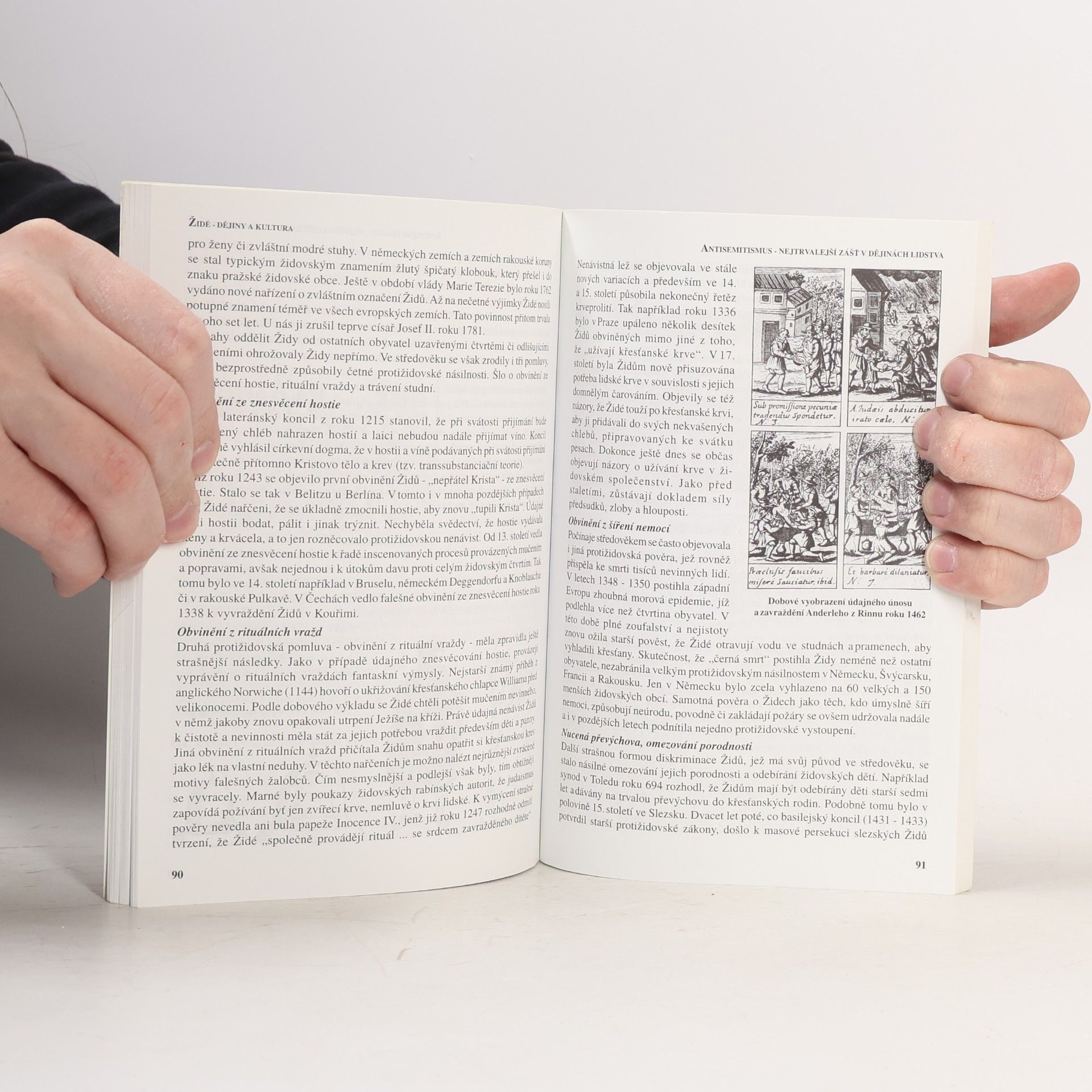 Autorenkollektiv Židé - dějiny a kultura