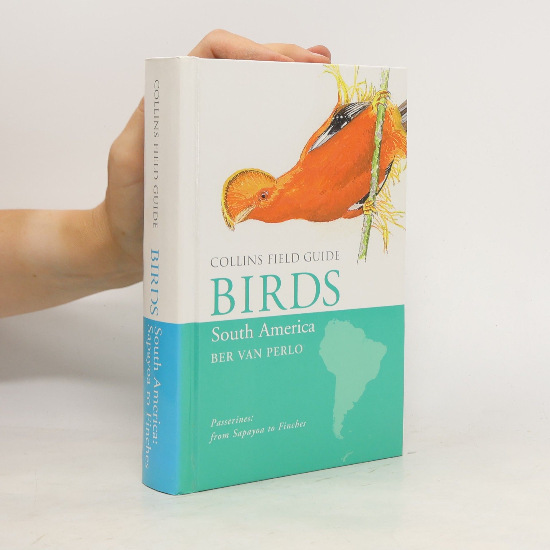 Autorenkollektiv Birds of South America: Passerines