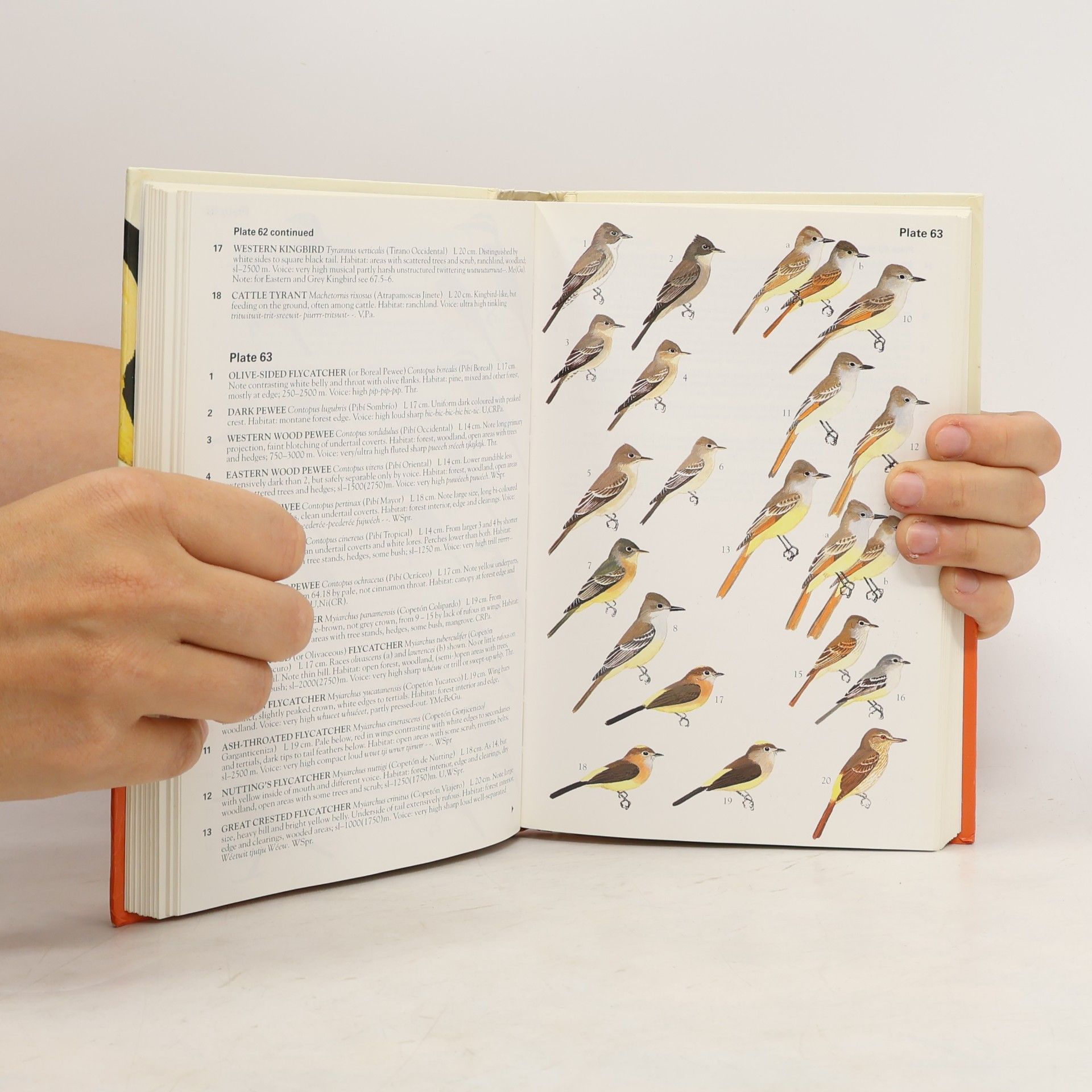 Ber van Perlo Collins Field Guide: Birds of Mexico and Central America
