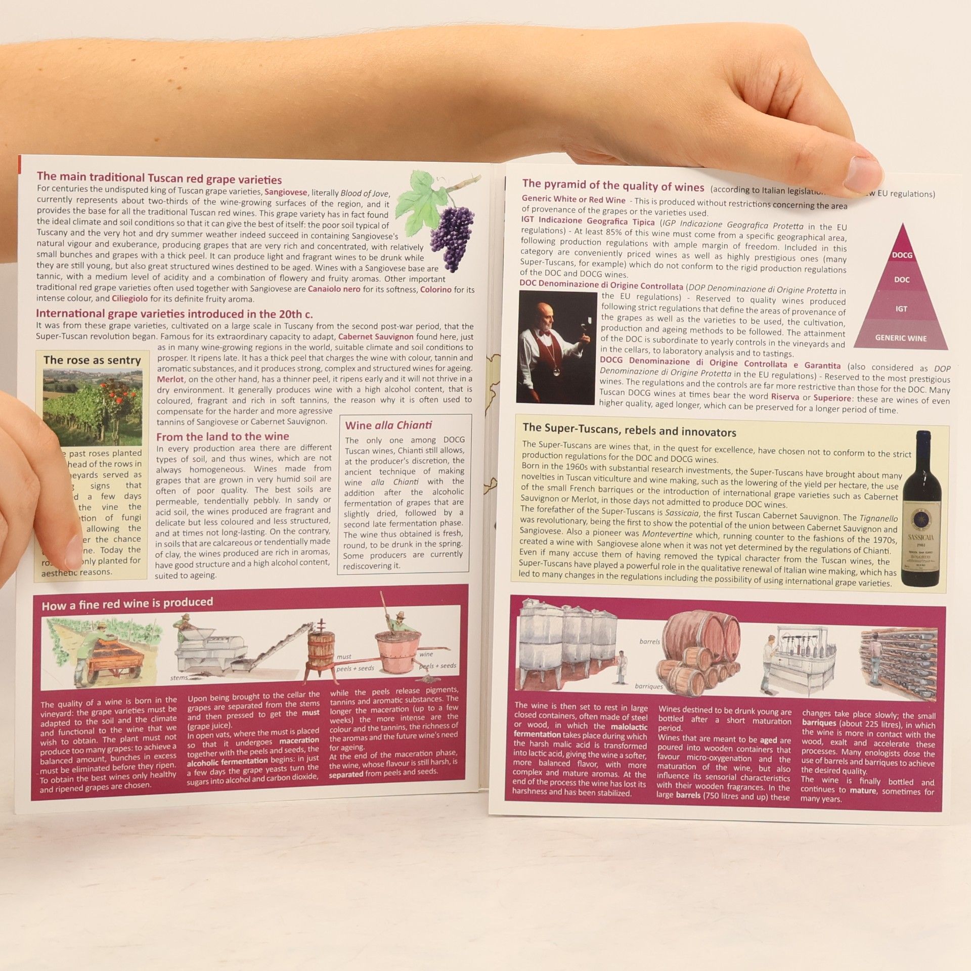 Guidorama: The Wines of Tuscany