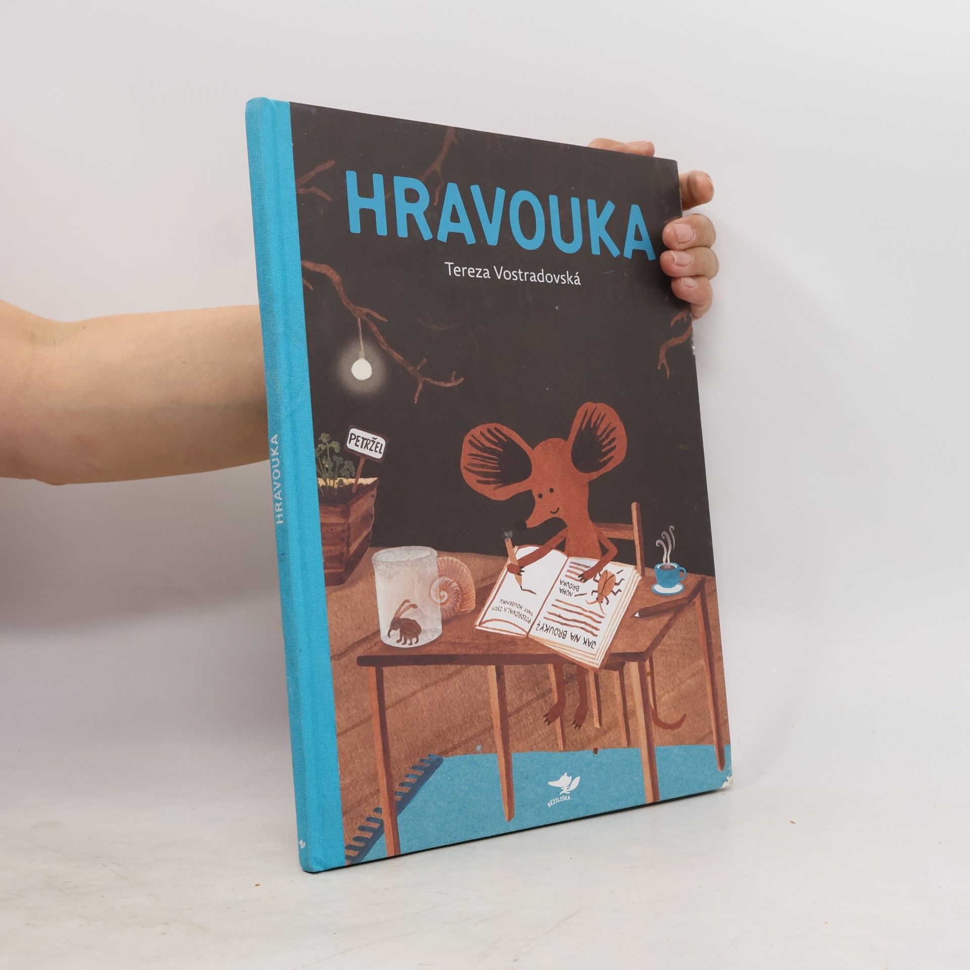 Tereza Vostradovská Hravouka