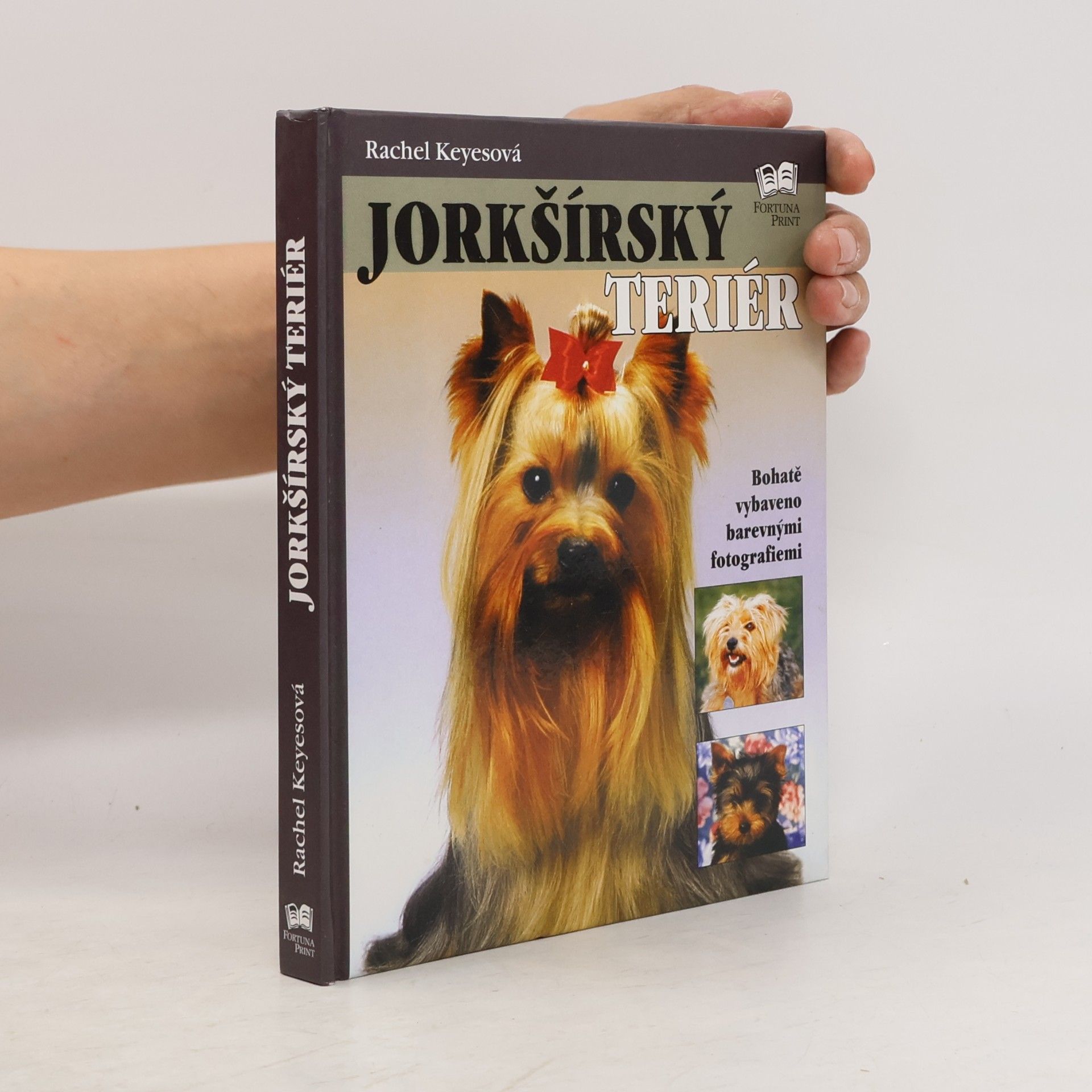Rachel Keyes Jorkšírský teriér