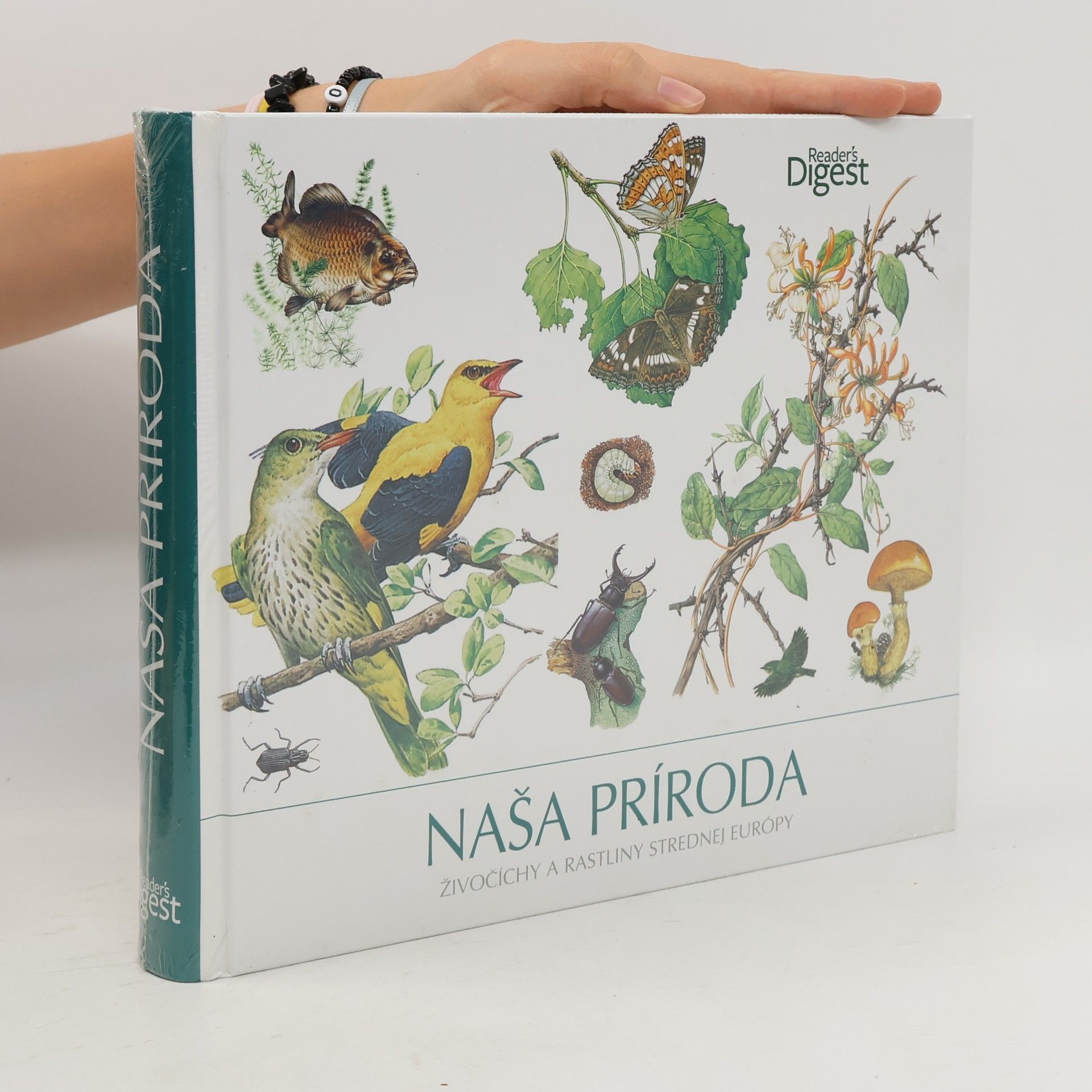 Collectif d'auteurs Naša príroda: Živočíchy a rastliny strednej Európy