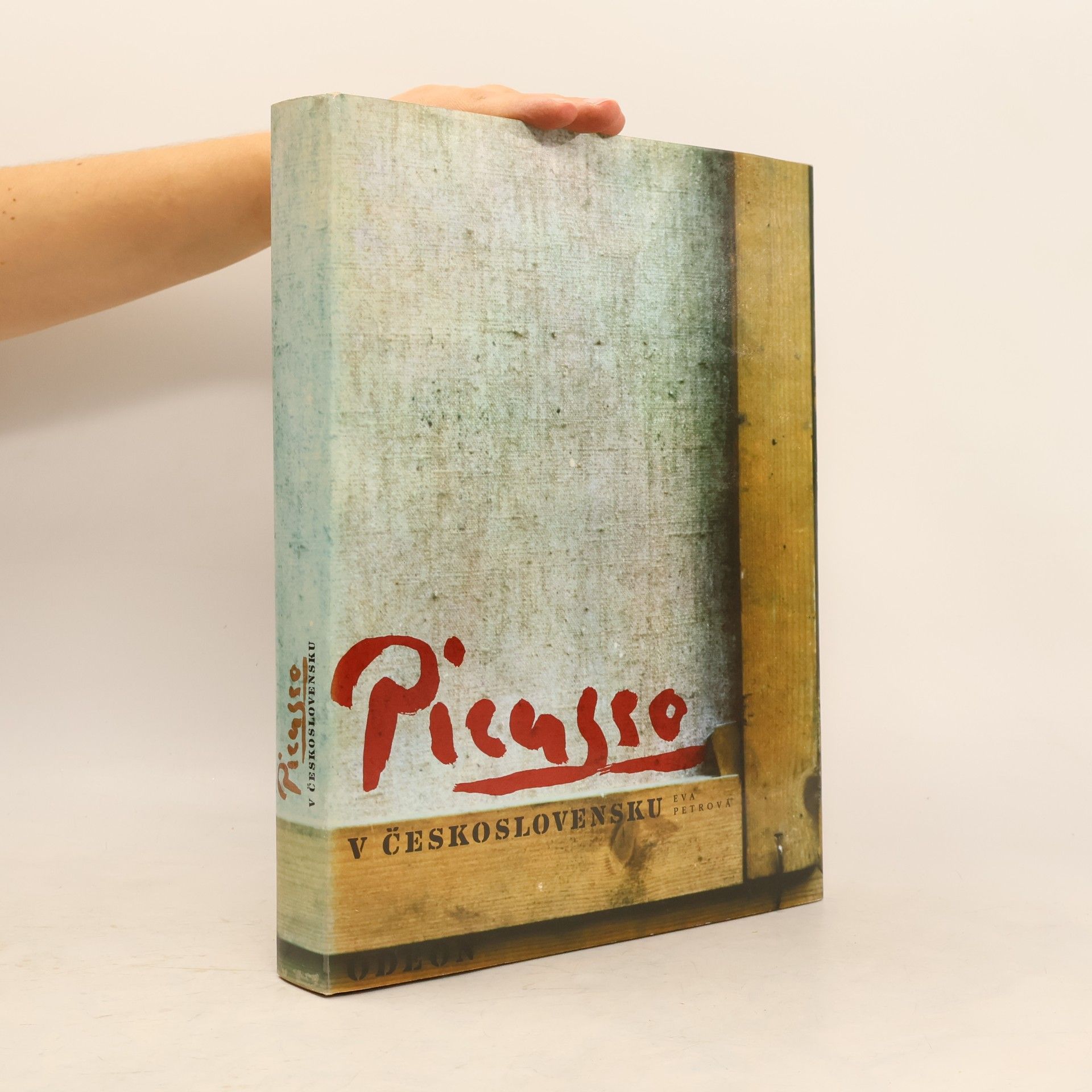 Eva Petrová Picasso v Československu