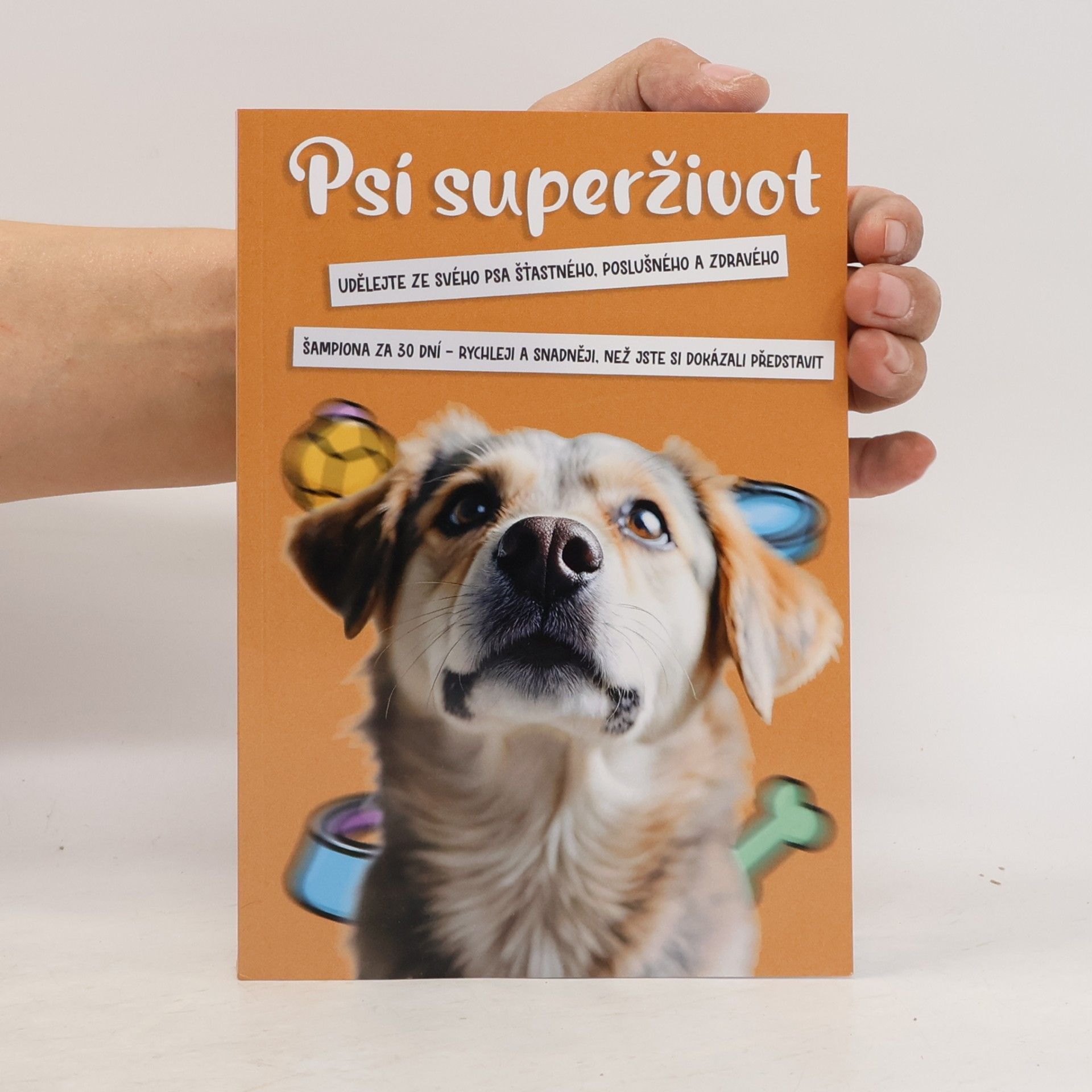 Collectif d'auteurs Psí superživot