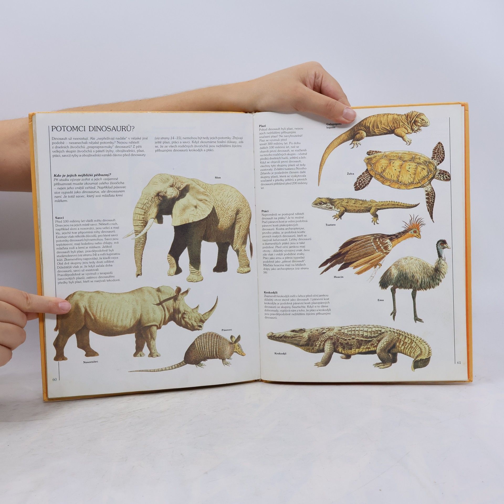 Kolektiv autorů Jak žili dinosauři
