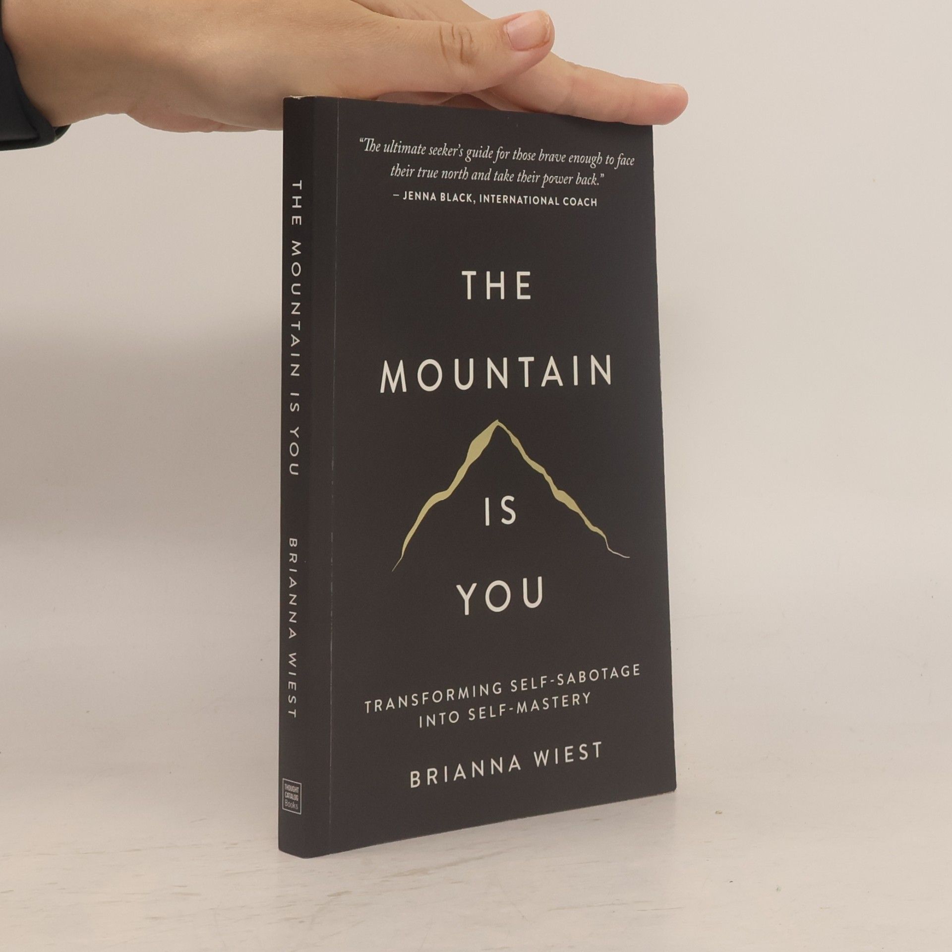 Brianna Wiest The Mountain Is You