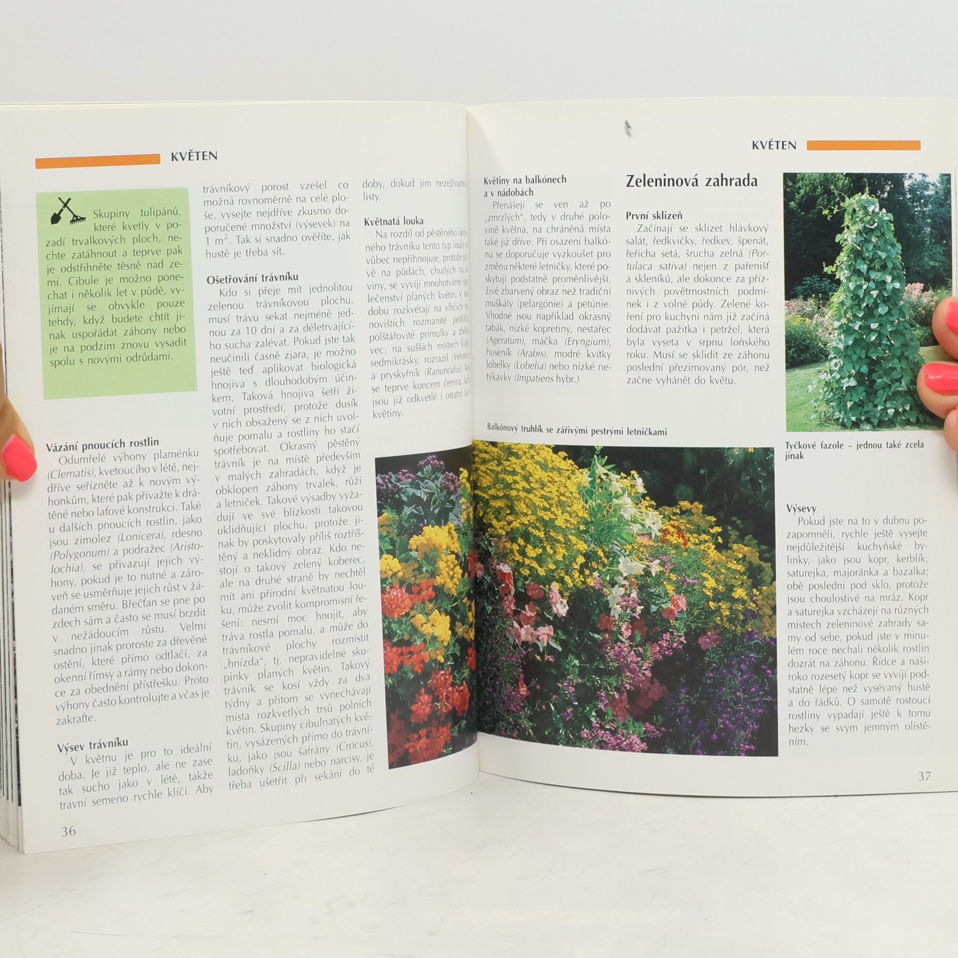 Kolektiv autorů Rok na zahrádce