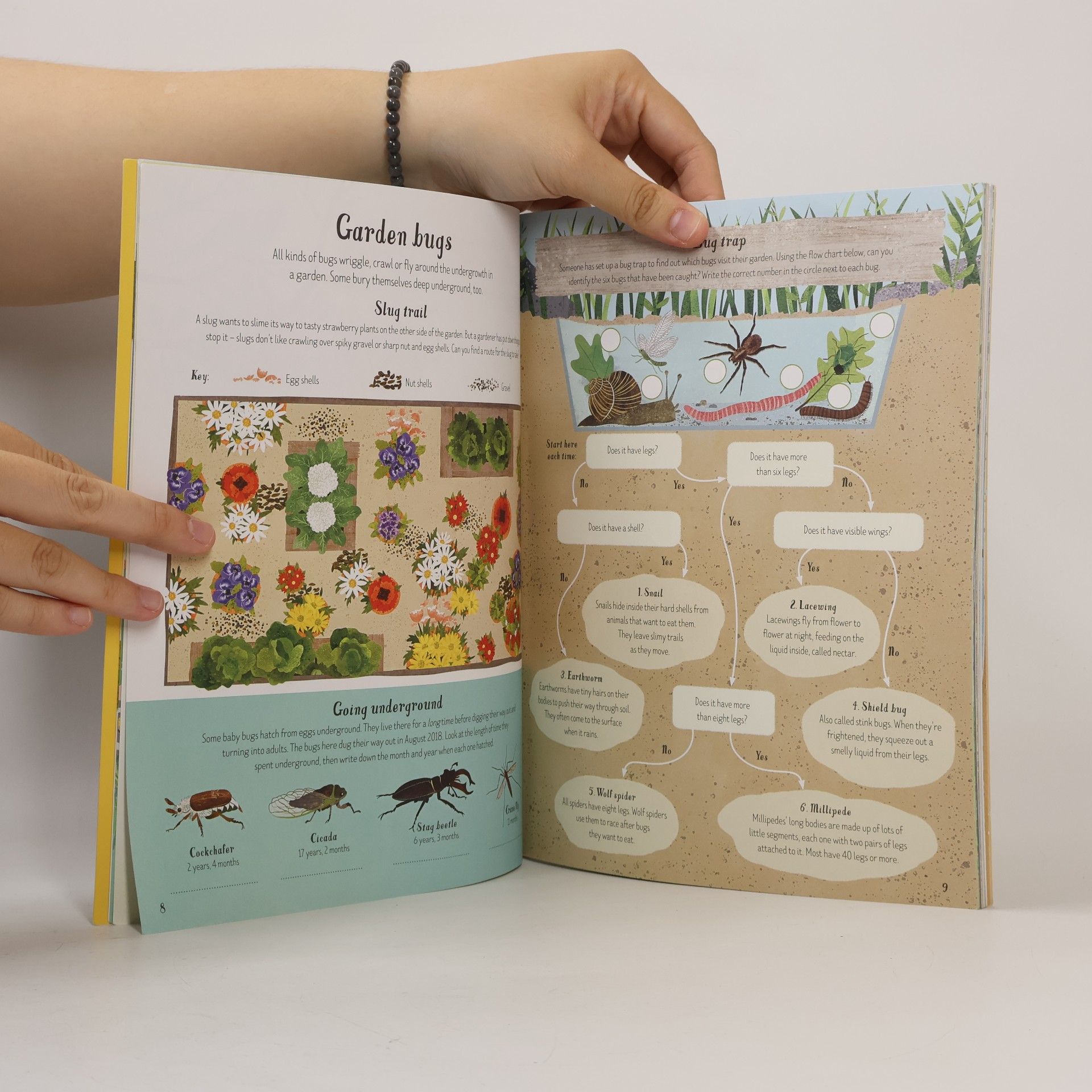 Emily Bone Nature Activity Book