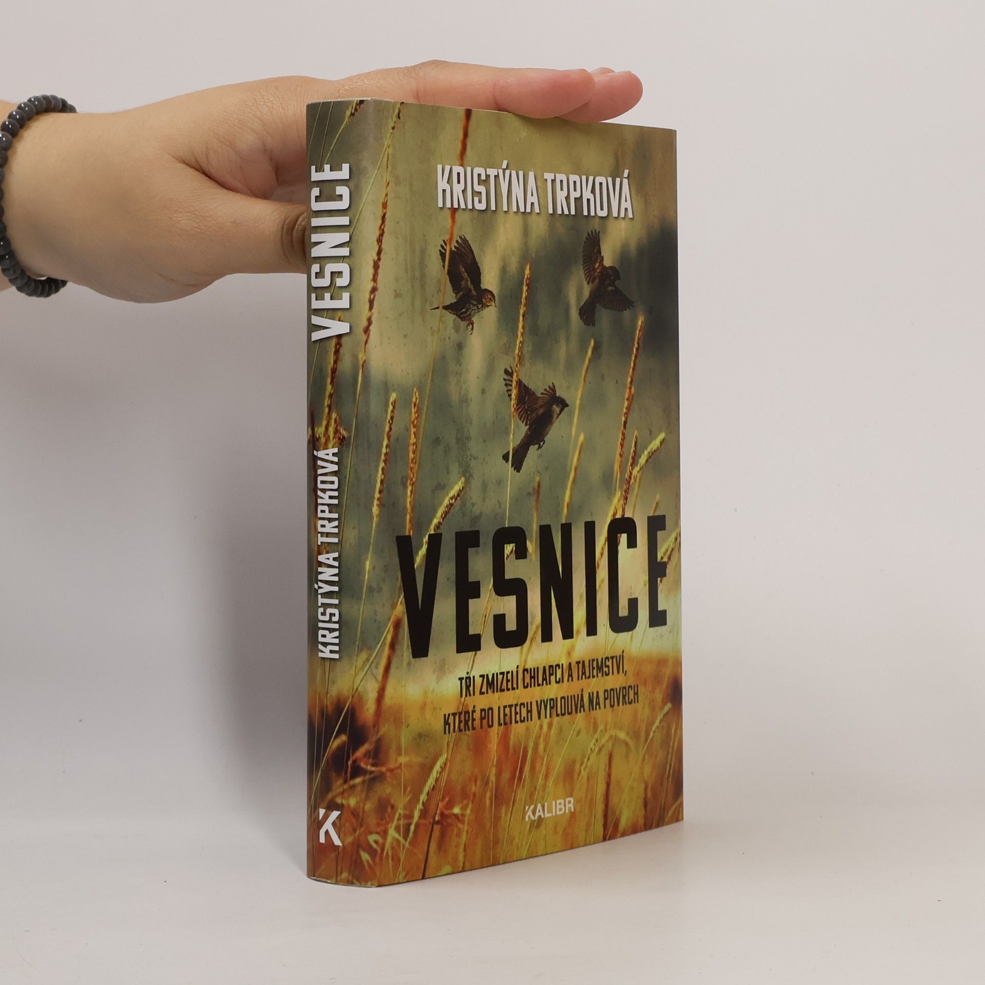Vesnice