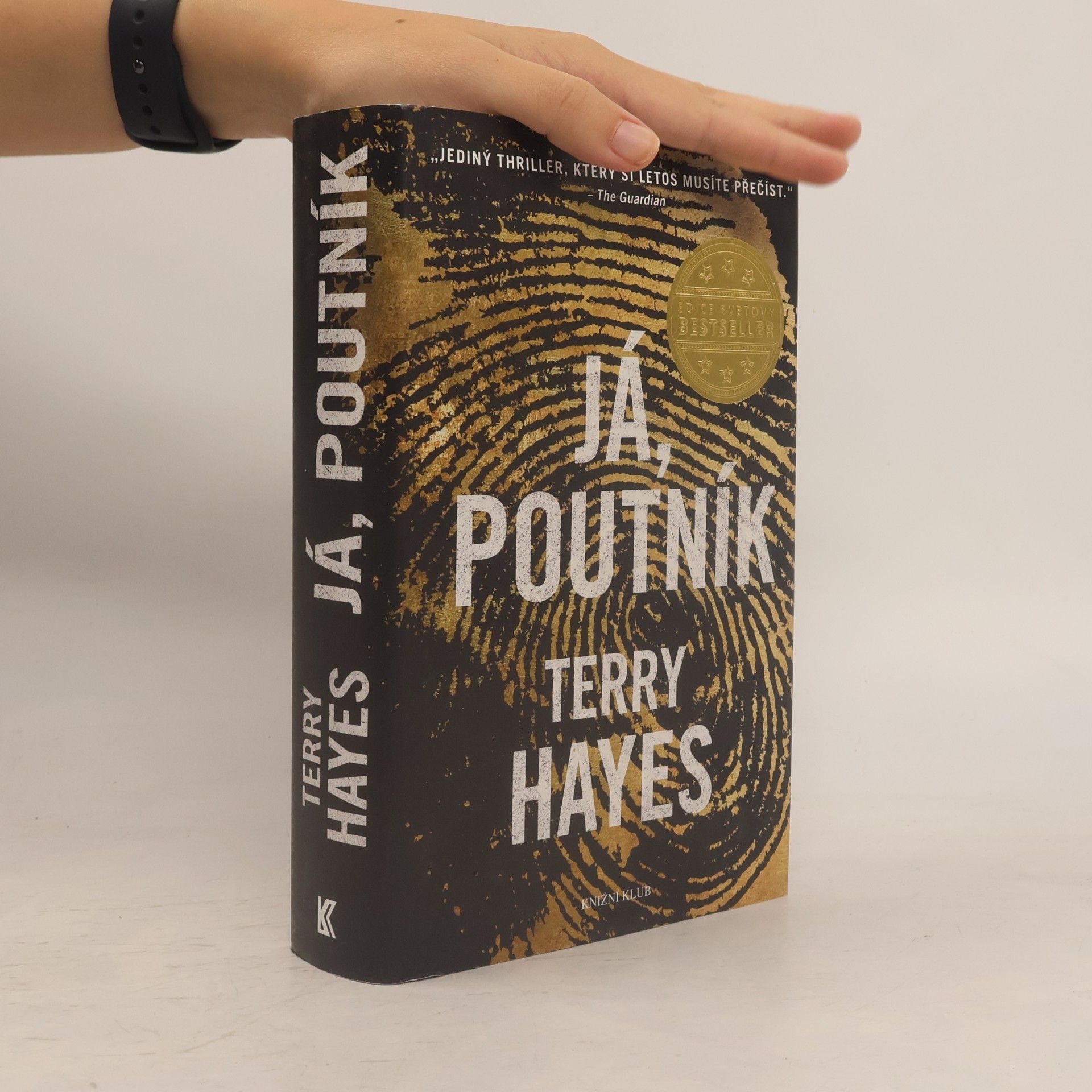 Terry Hayes Já, Poutník