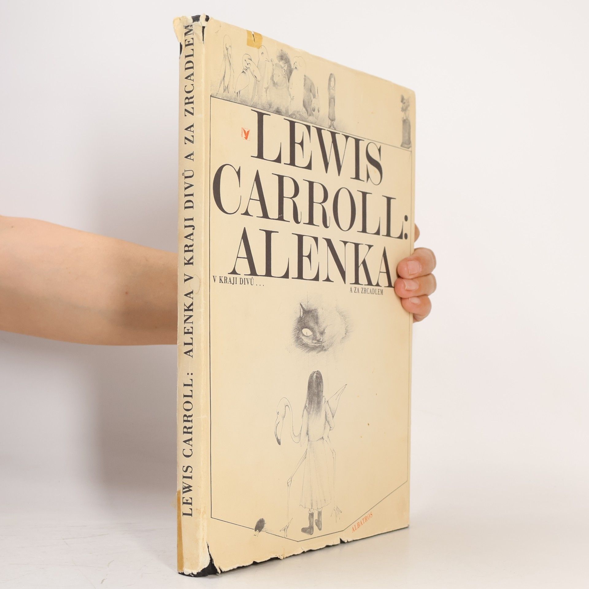 Lewis Carroll Alenka v kraji divů a za zrcadlem