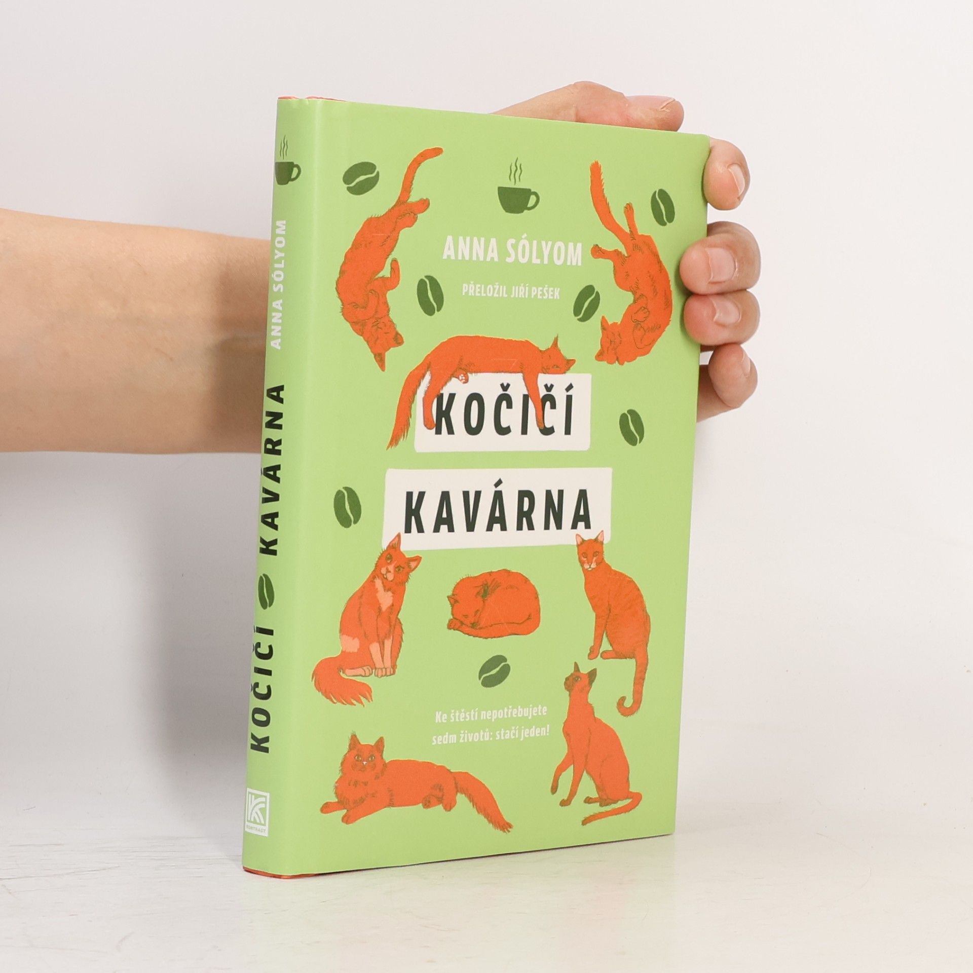 Anna Sólyom Kočičí kavárna