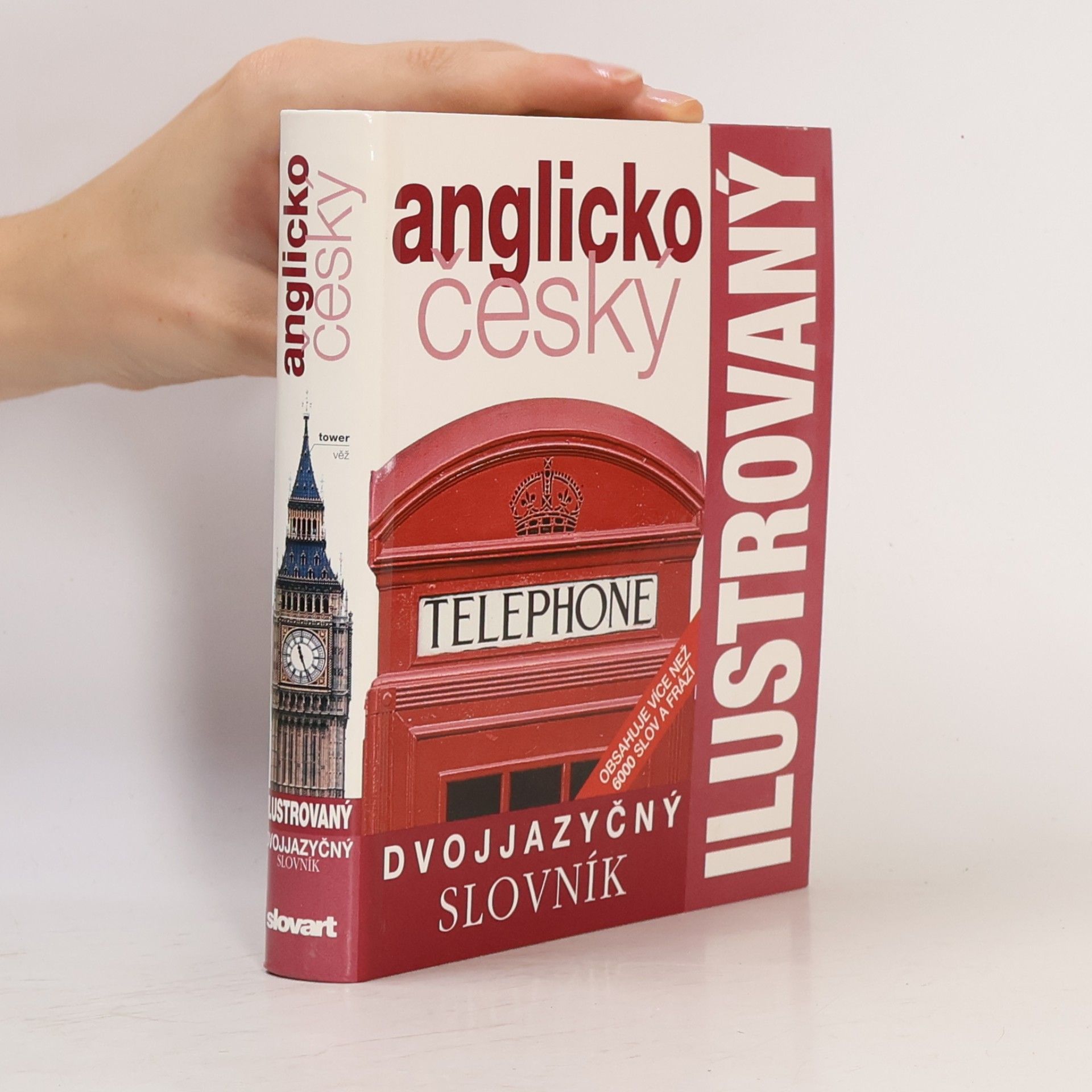 Various authors Dvojjazyčný anglicko český ilustrovaný slovník