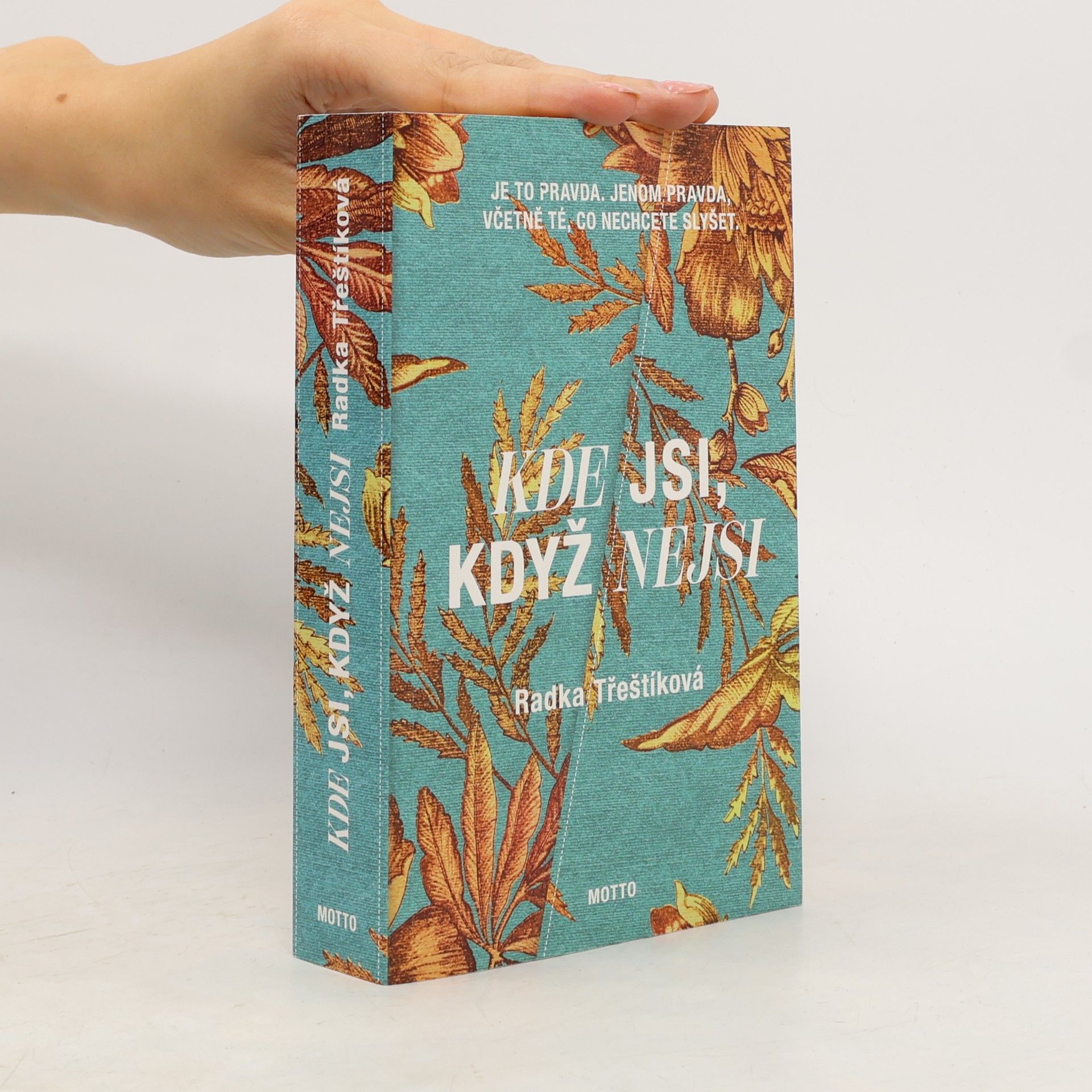 Radka Třeštíková Kde jsi, když nejsi