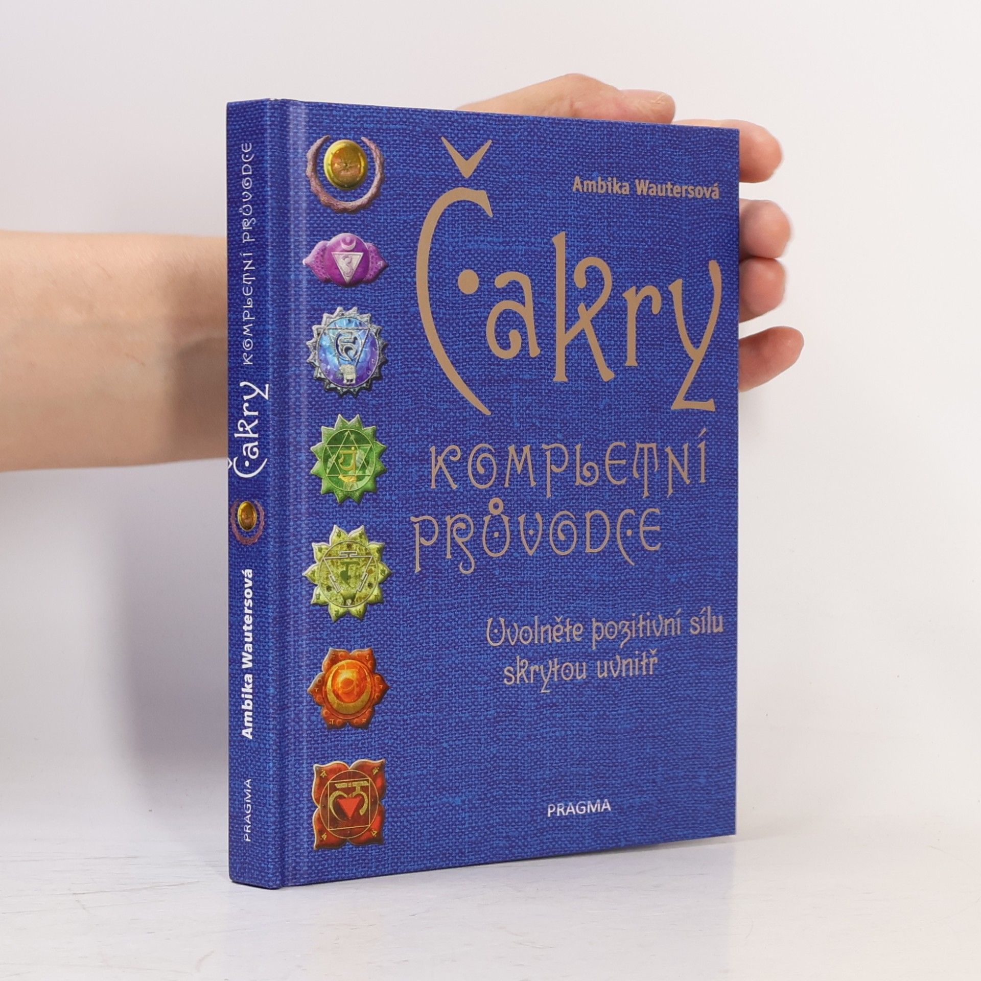Ambika Wauters Čakry. kompletní průvodce