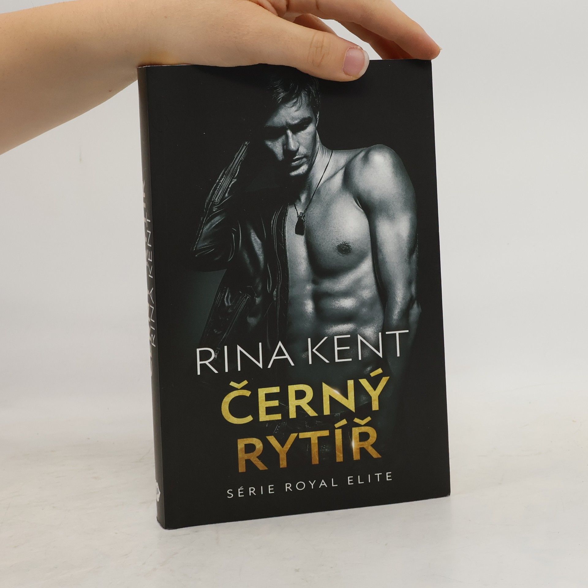 Rina Kent Černý rytíř
