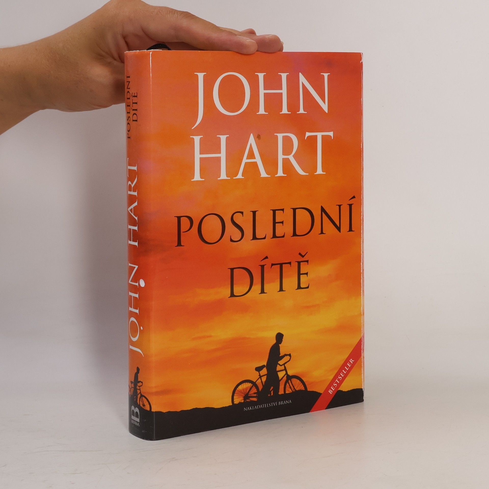 John Hart Poslední dítě