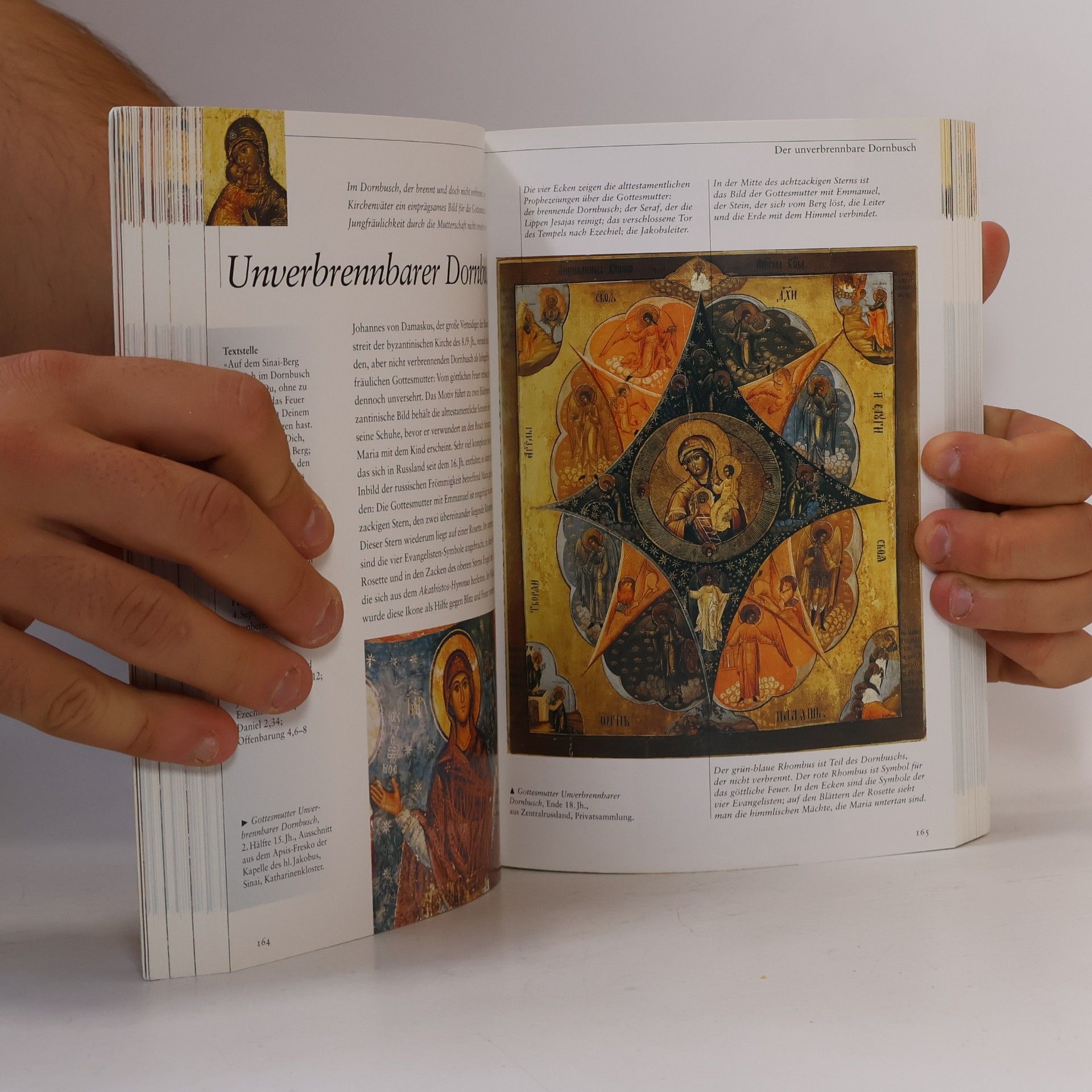 Auteurscollectief Ikonen. Meisterwerke der Ostkirche