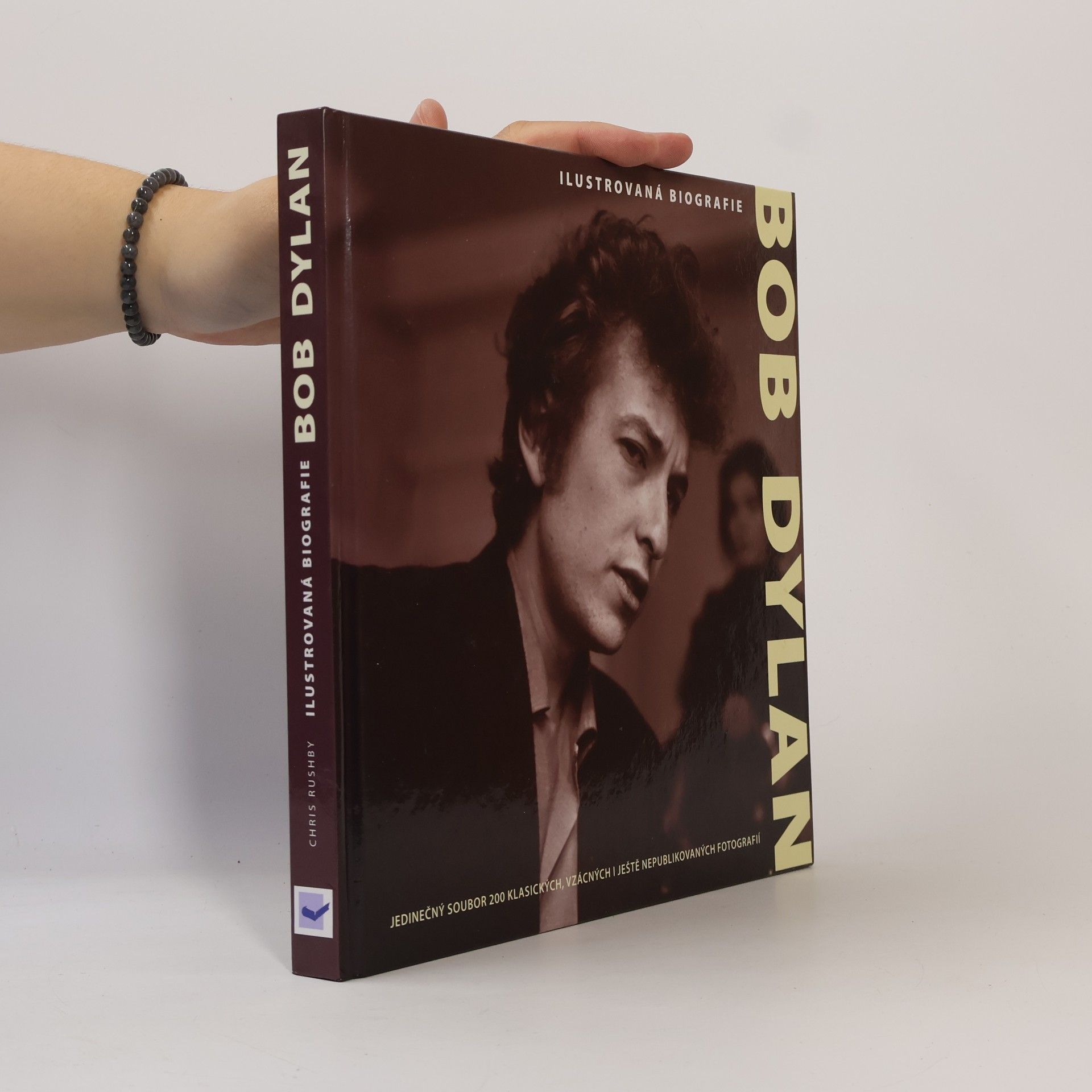 Chris Rushby Bob Dylan : ilustrovaná biografie