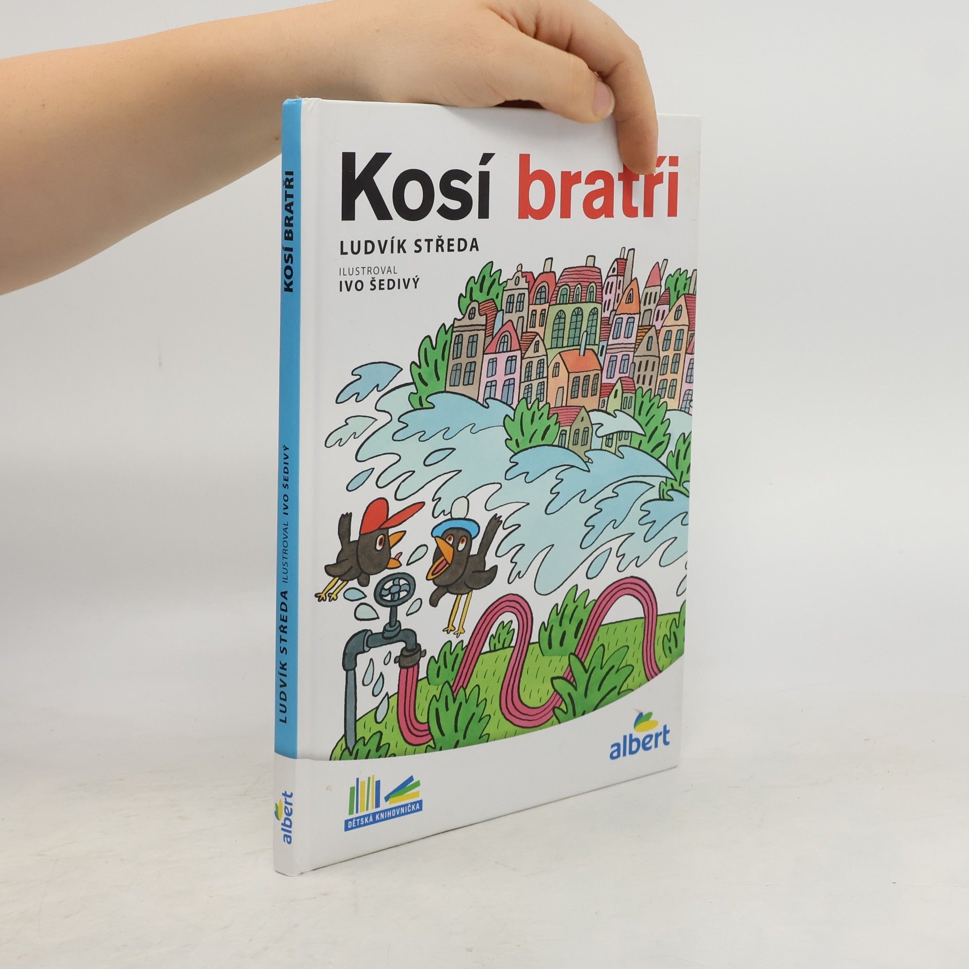 Ludvík Středa Kosí bratři