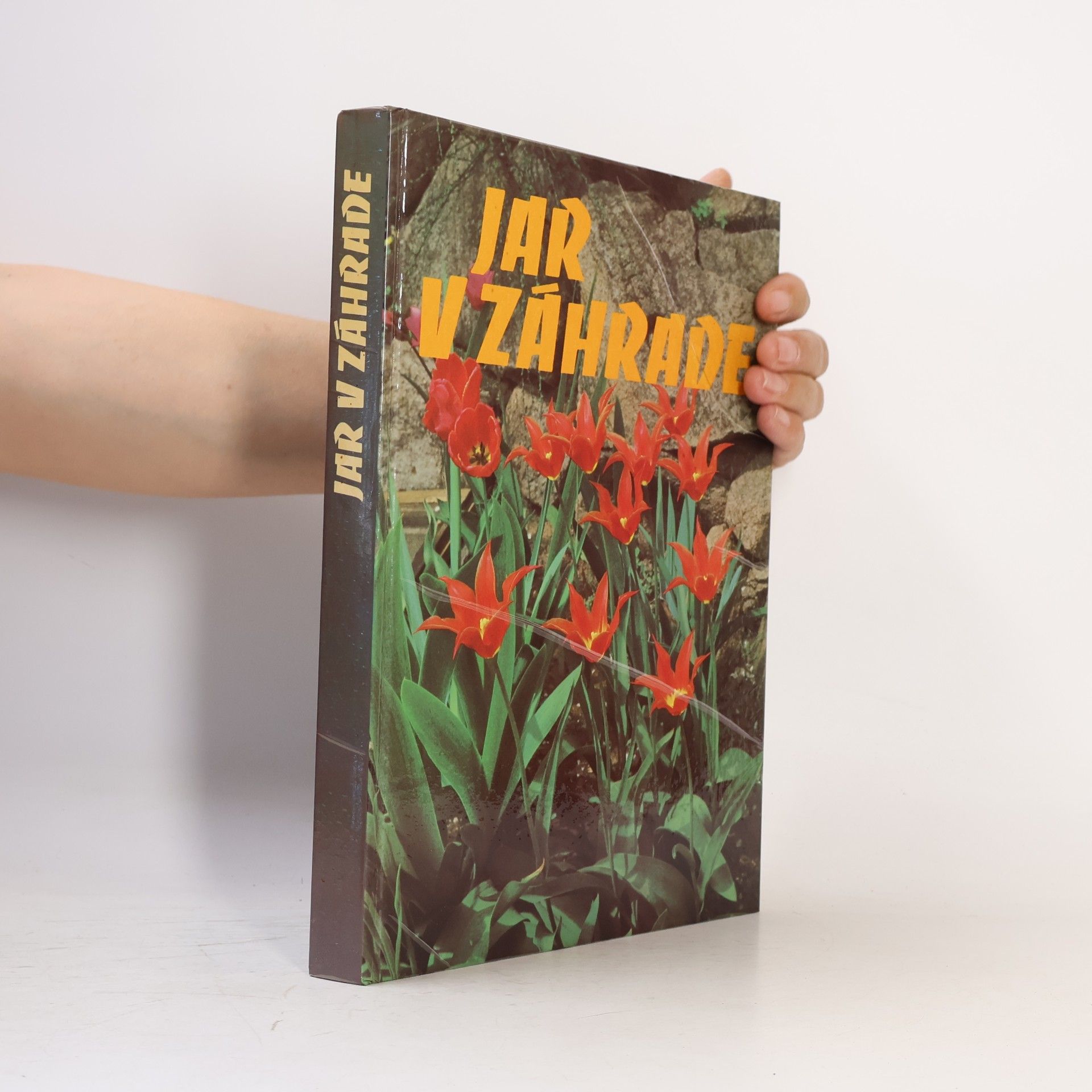 Collectif d'auteurs Jar v záhrade