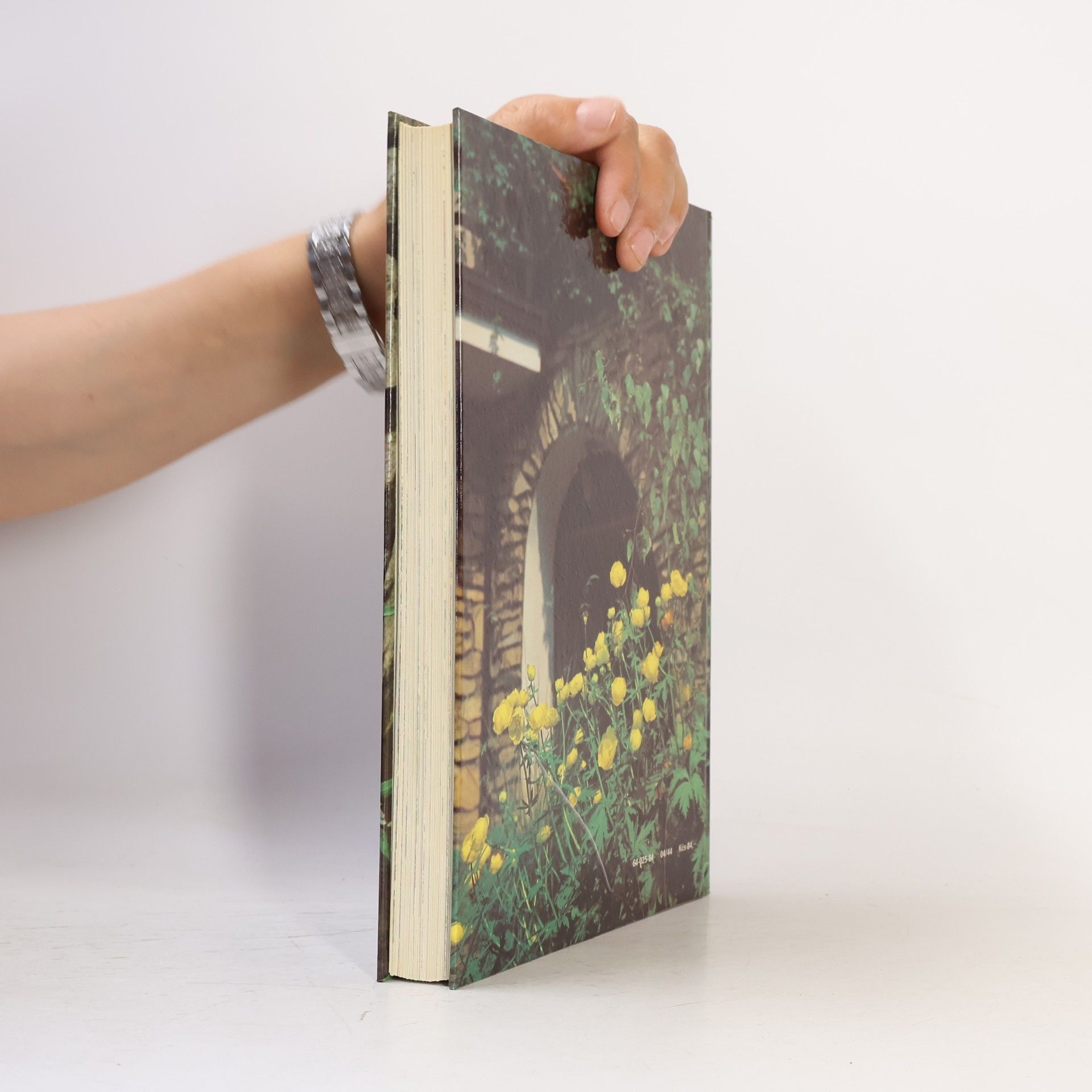 Collectif d'auteurs Jar v záhrade