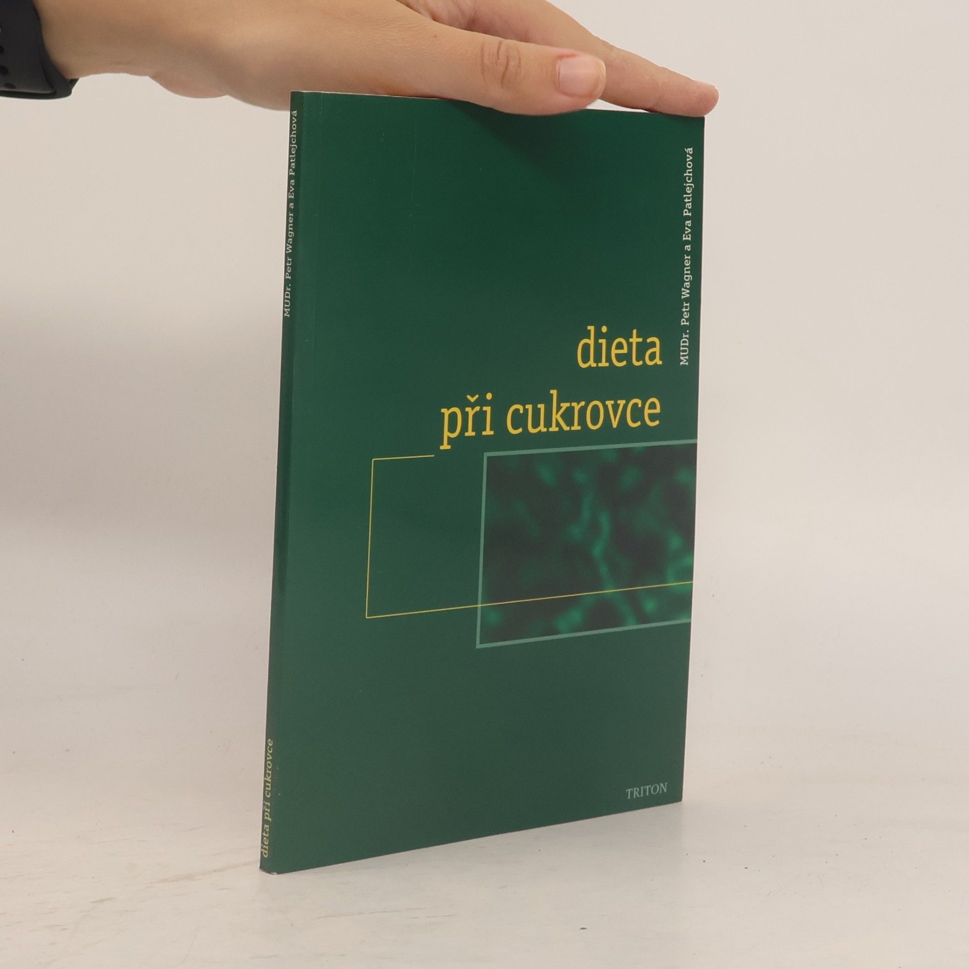 Dieta při cukrovce