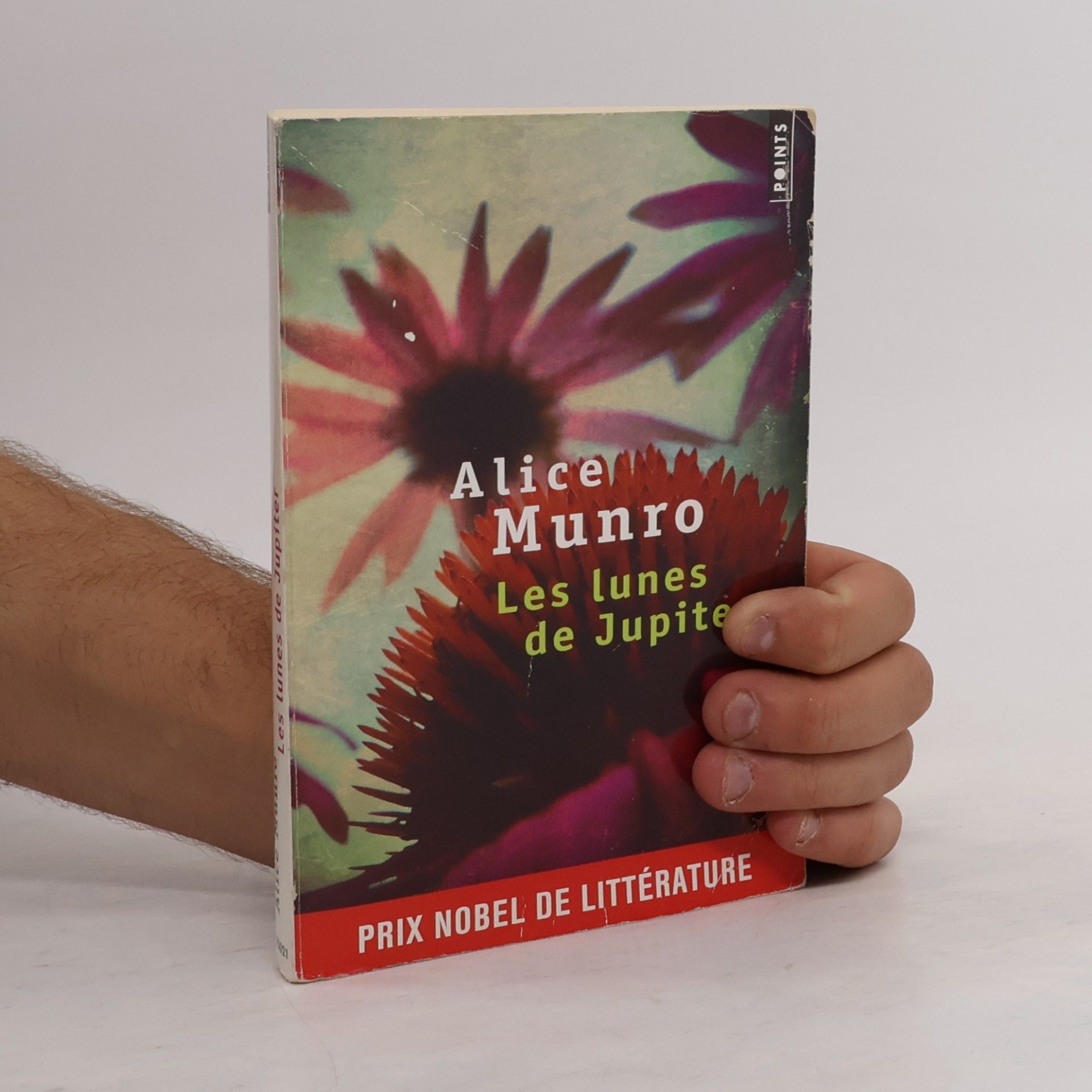 Alice Munro Les lunes de Jupiter