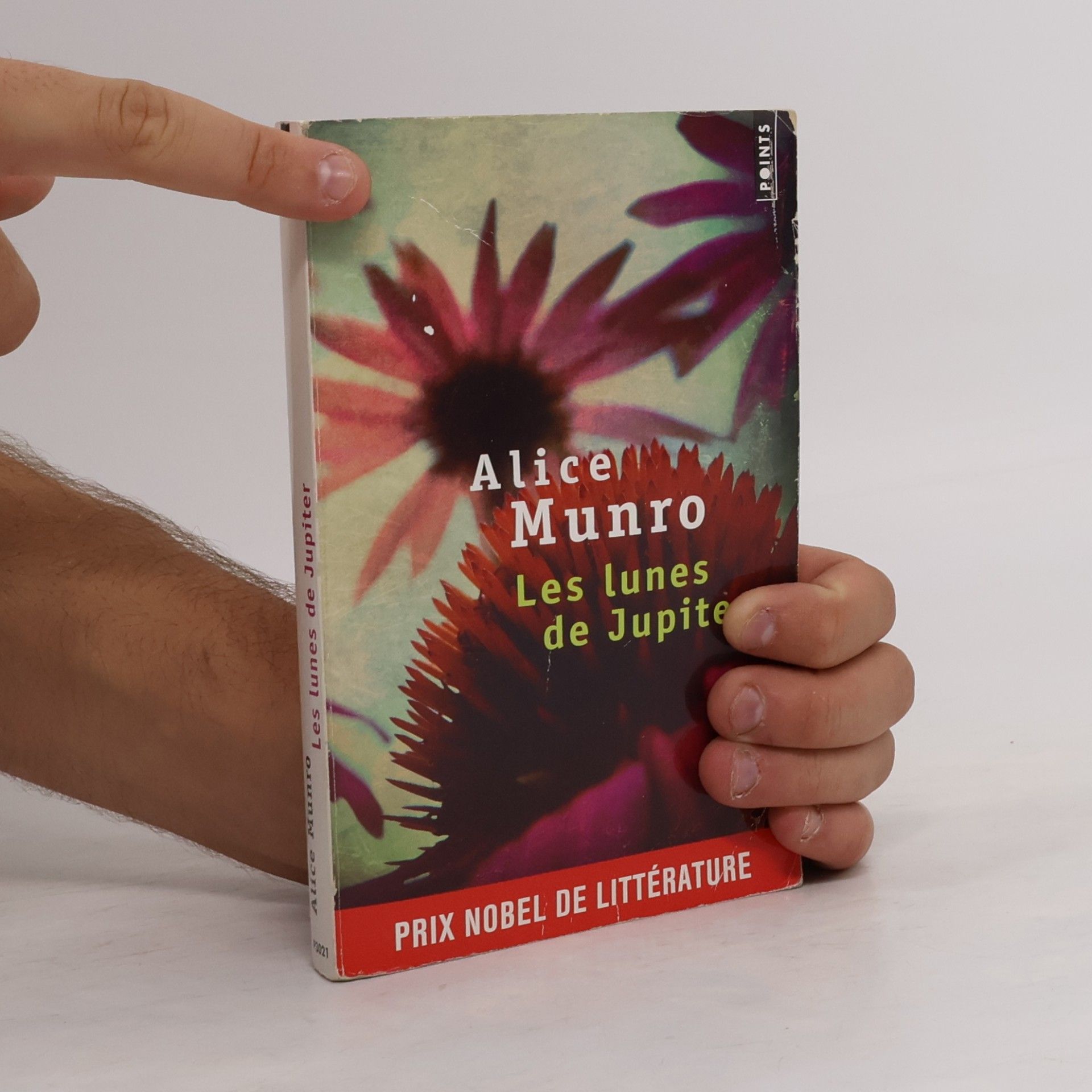 Alice Munro Les lunes de Jupiter