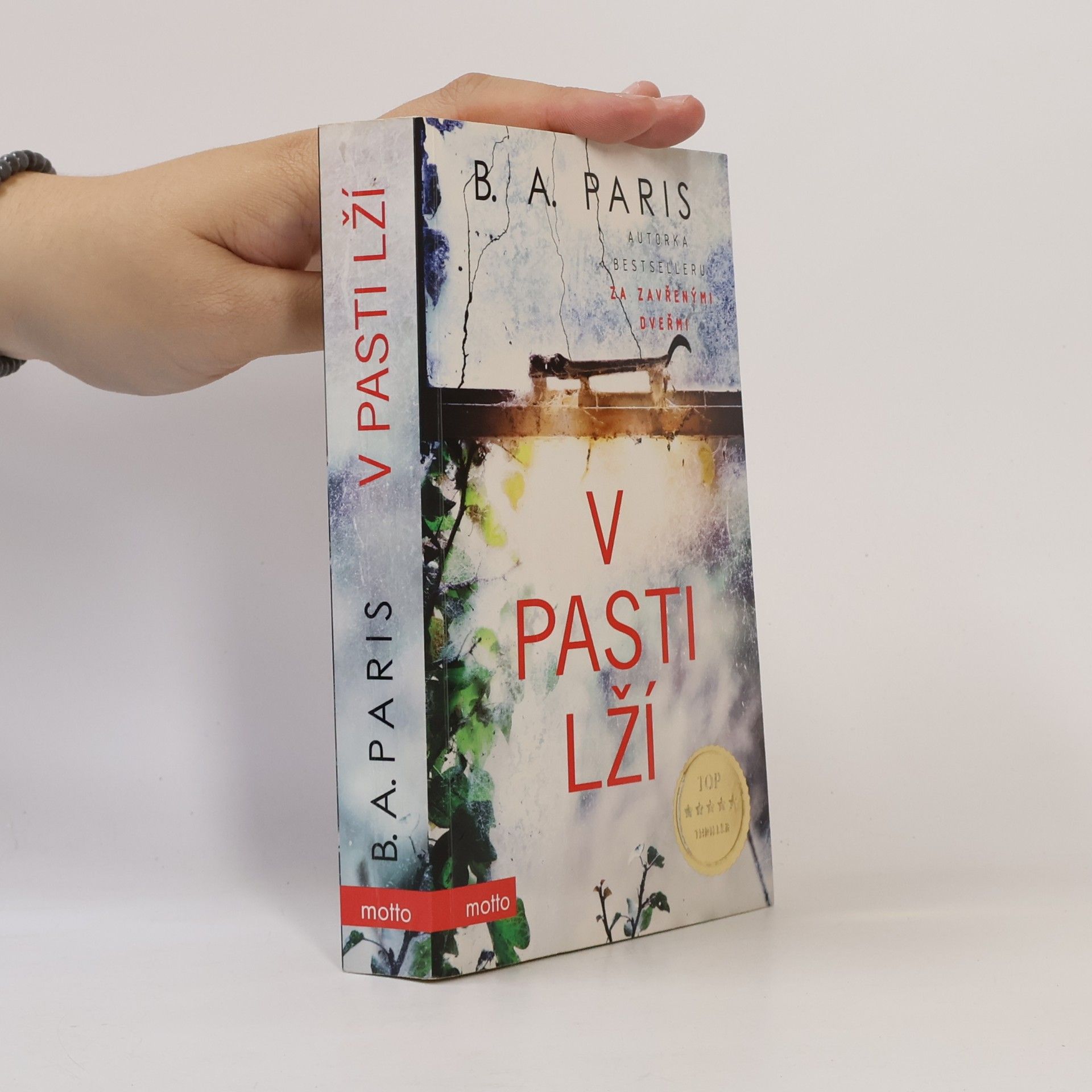 B.A. Paris V pasti lží