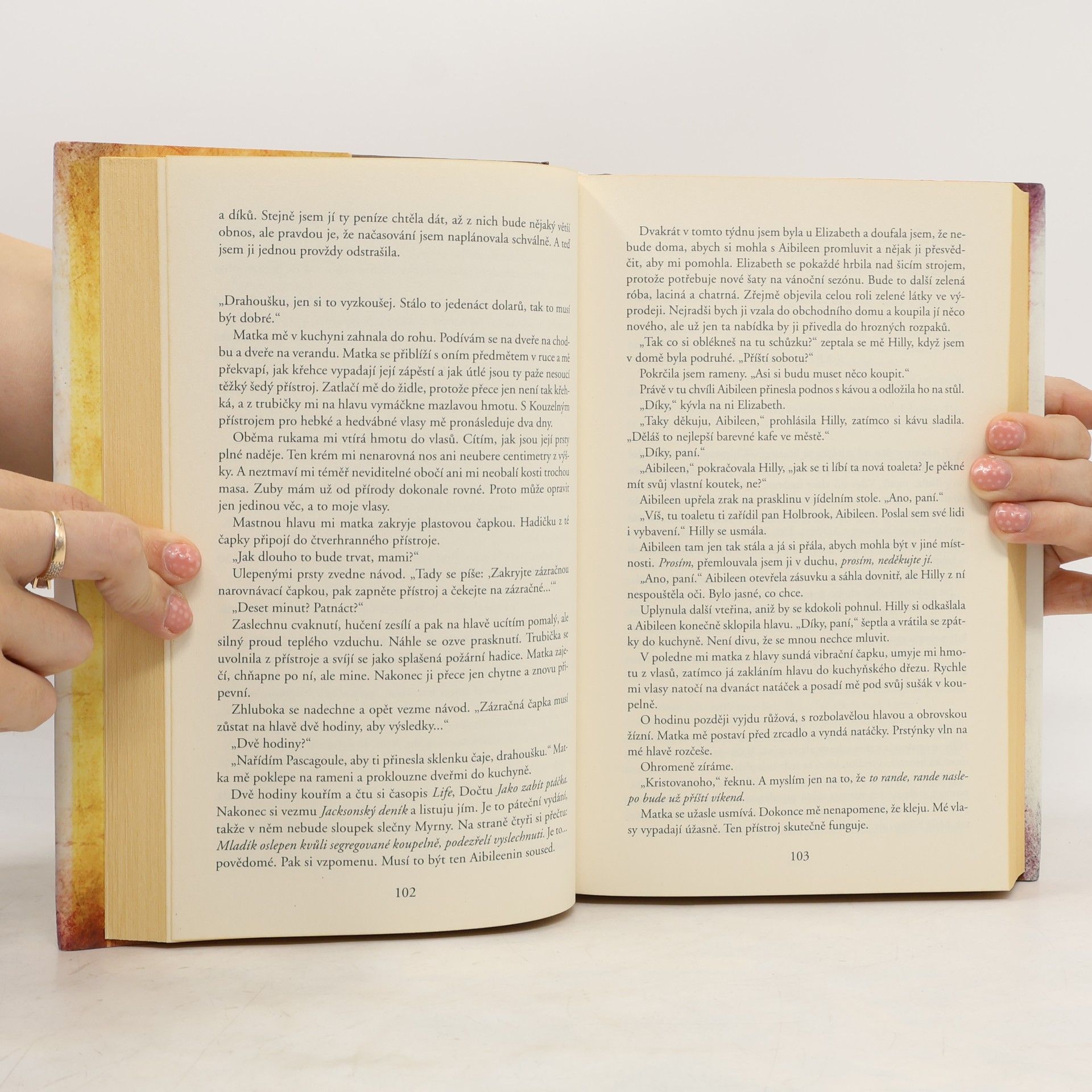 Kathryn Stockett Černobílý svět