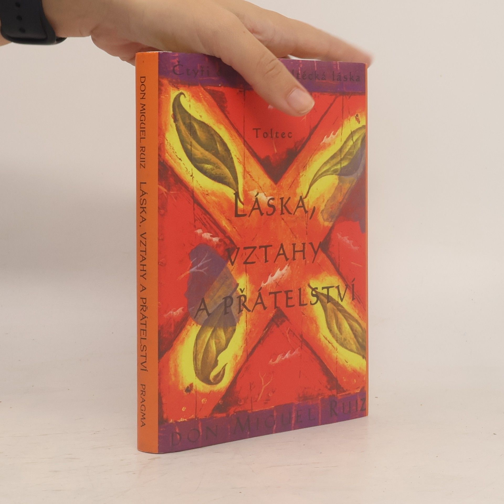 Don Miguel Ruiz Láska, vztahy a přátelství