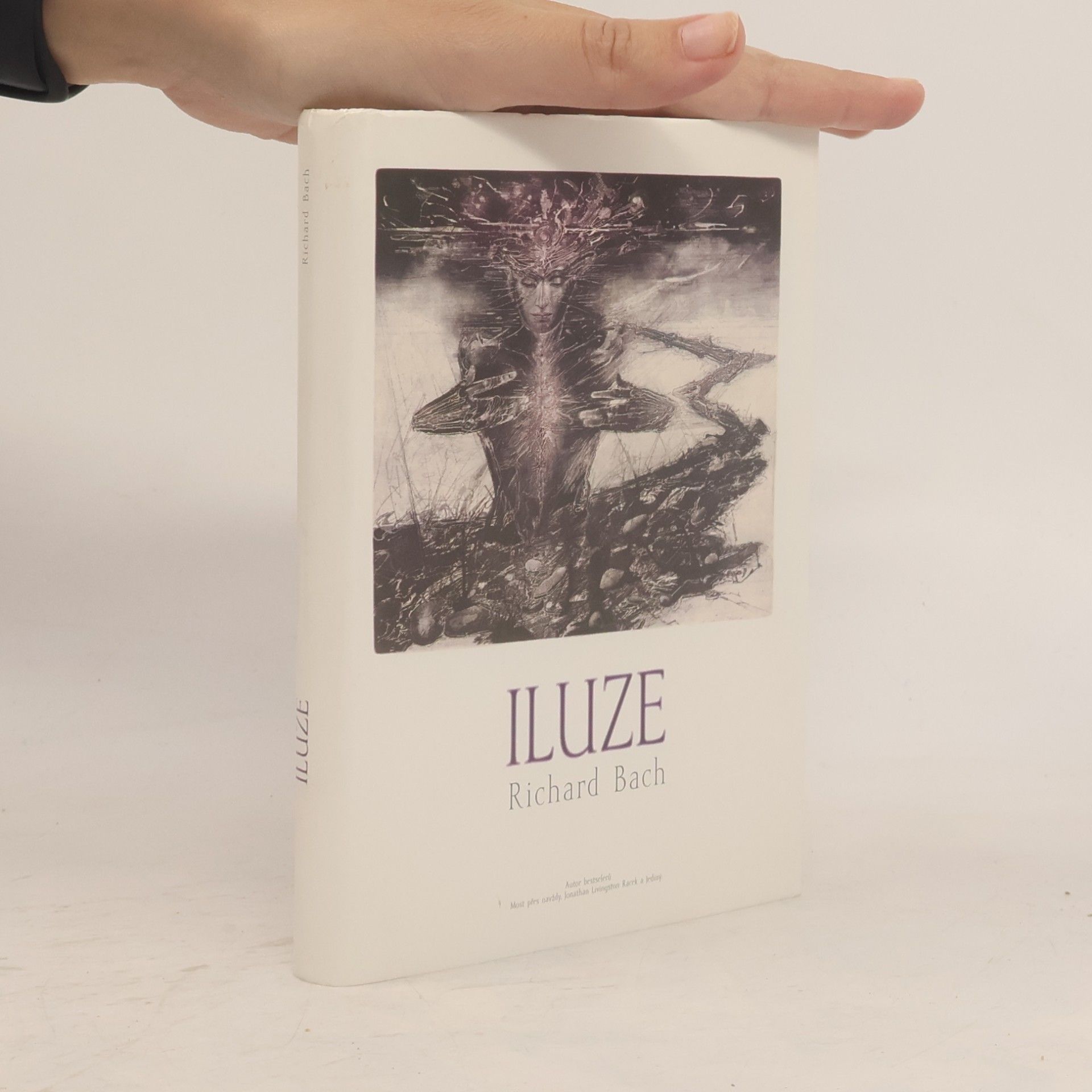 Richard Bach Iluze