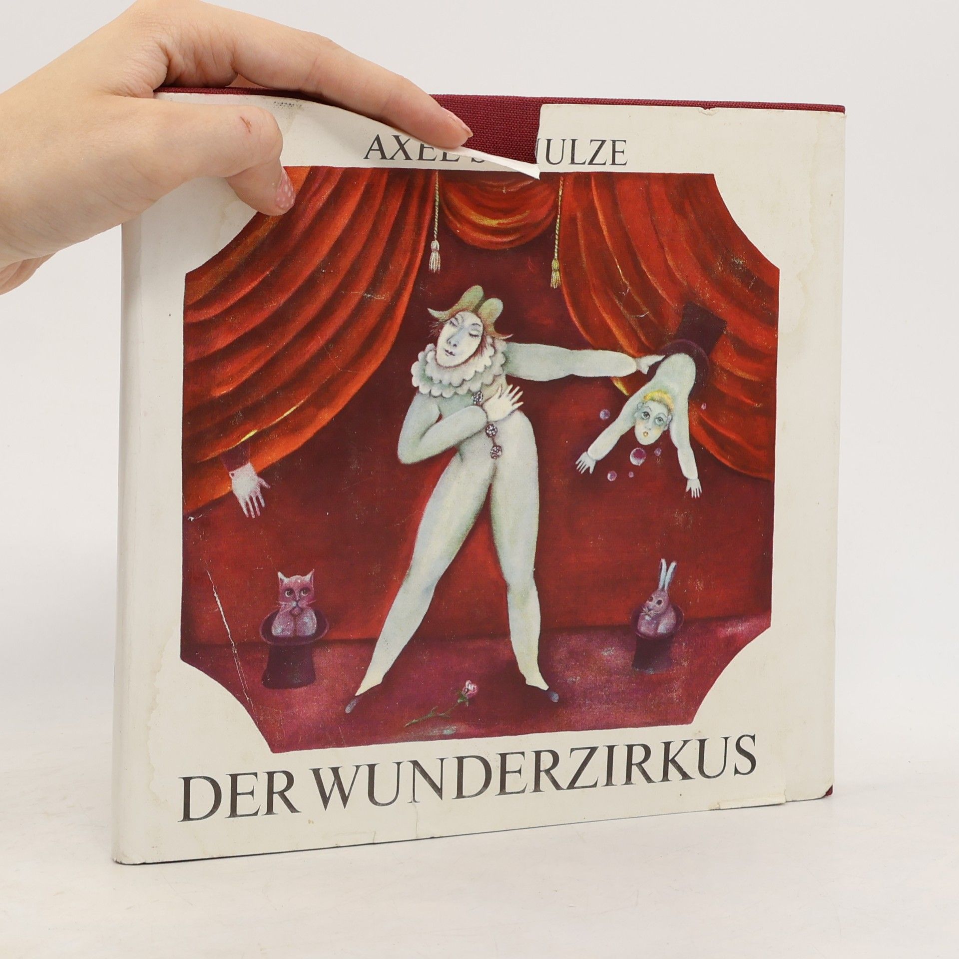 Axel Schulze Der Wunderzirkus