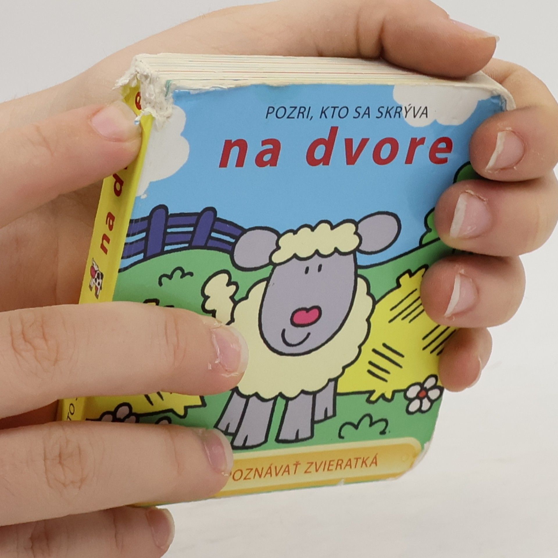 Emma Treehouse Pozri, kto sa skrýva na dvore