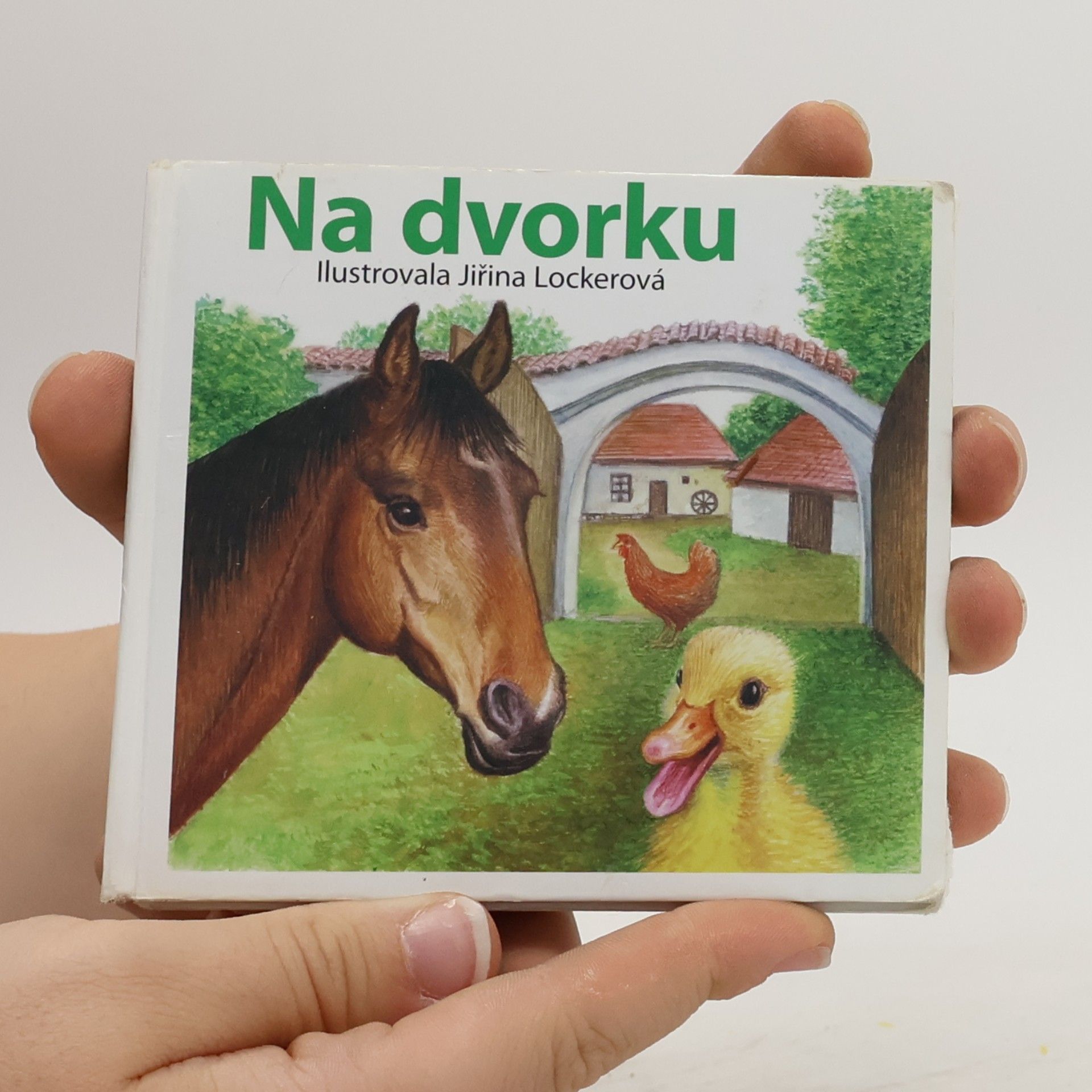 Jiřina Lockerová Na dvorku