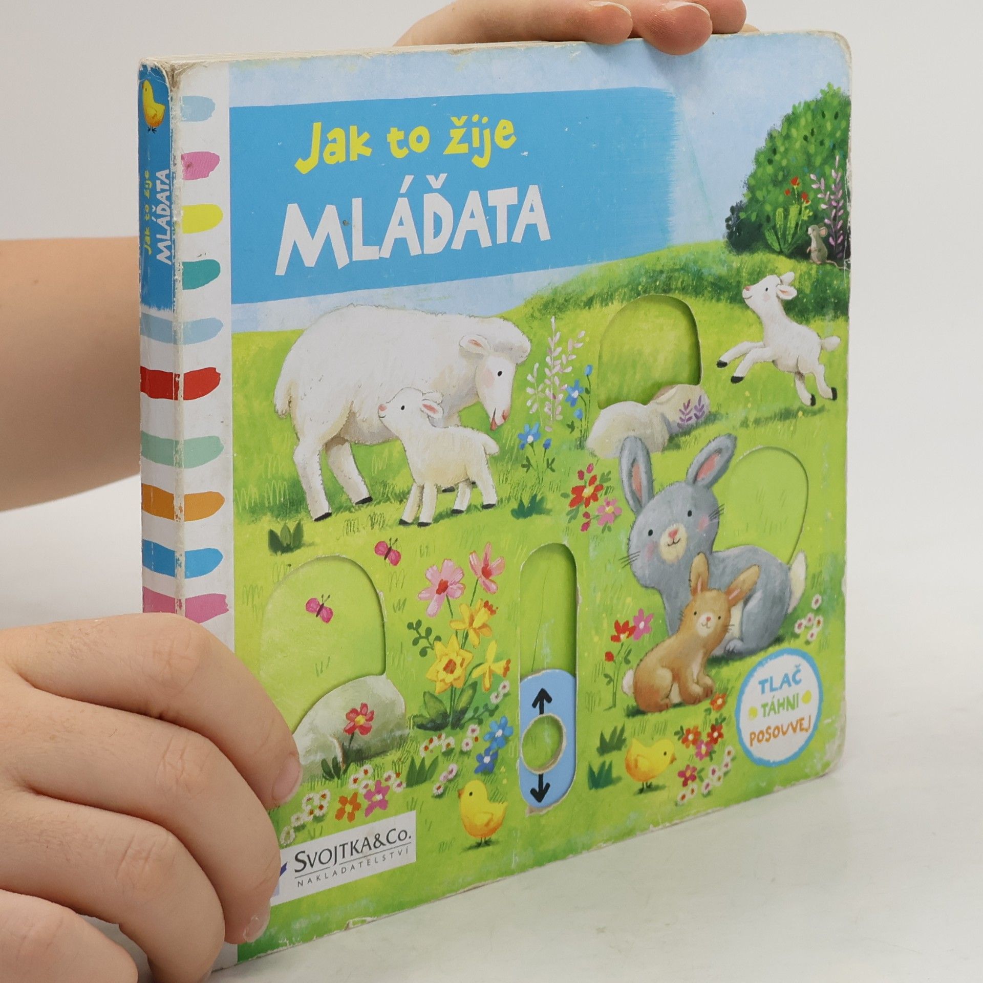 Ag Jatkowska Jak to žije mláďata